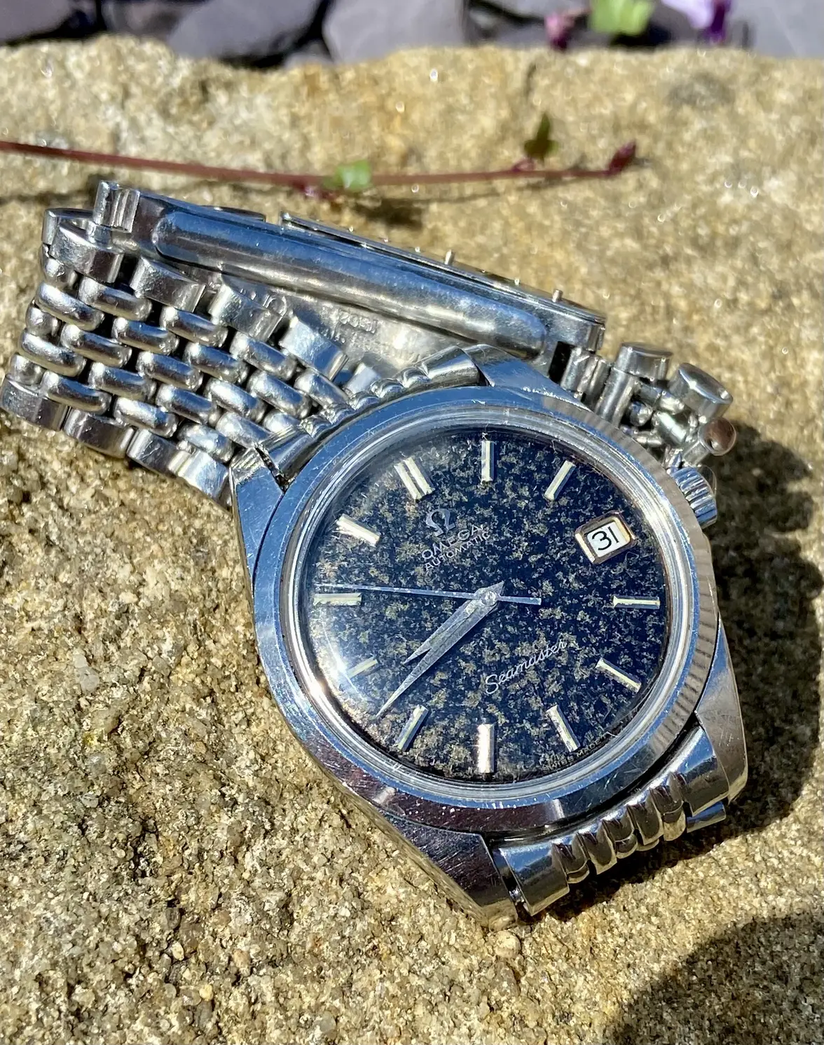 IMG_2733.webp IMG_2733.webp