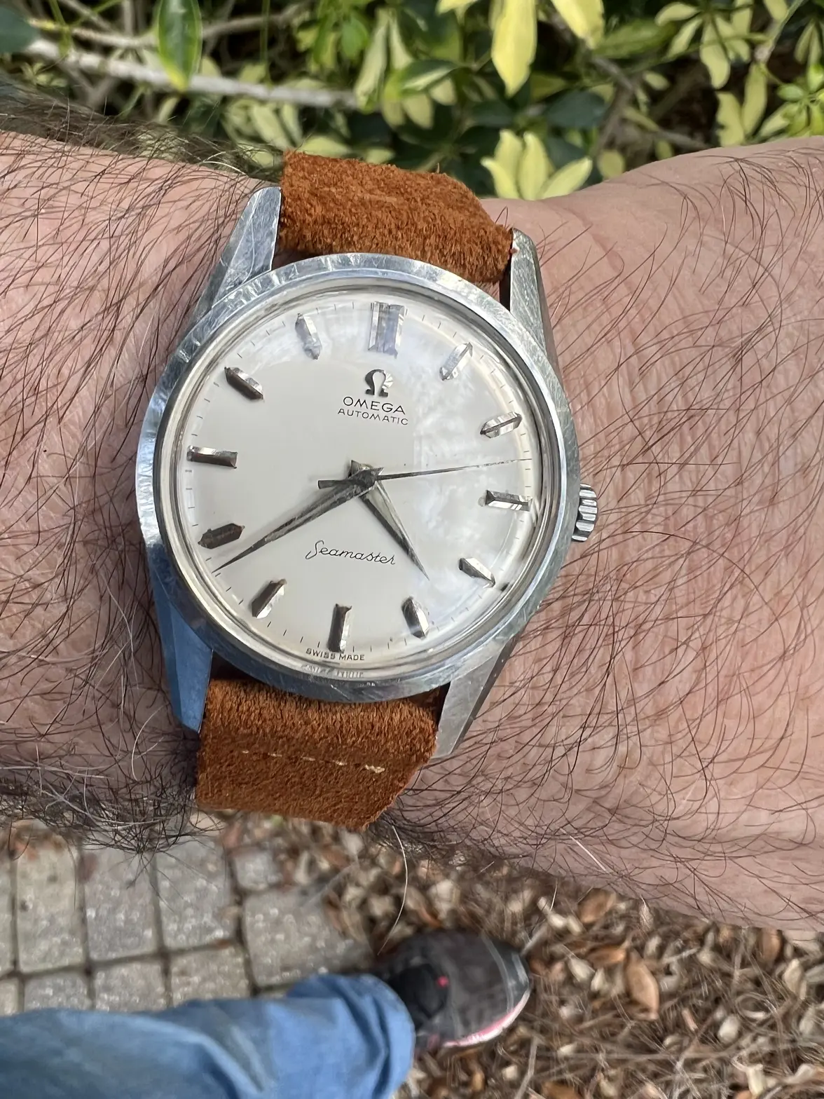 IMG_9286.webp IMG_9286.webp