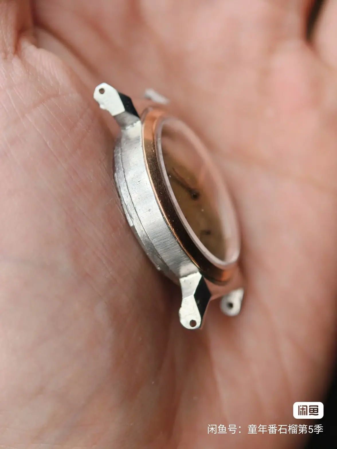 Weixin Image_20251205172833_148_1.webp