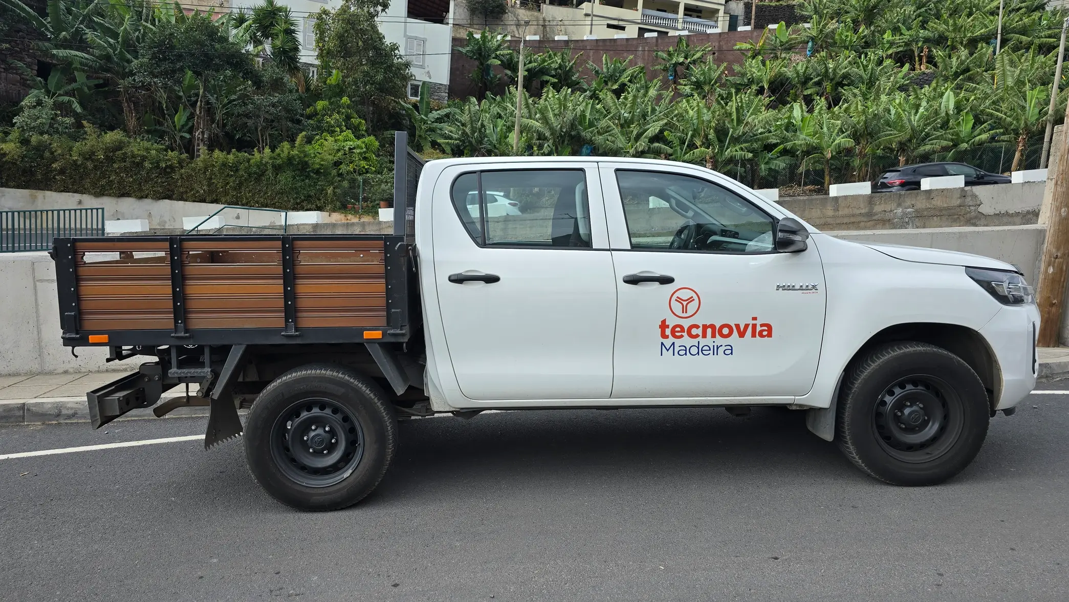 2025 Madeira (196).webp