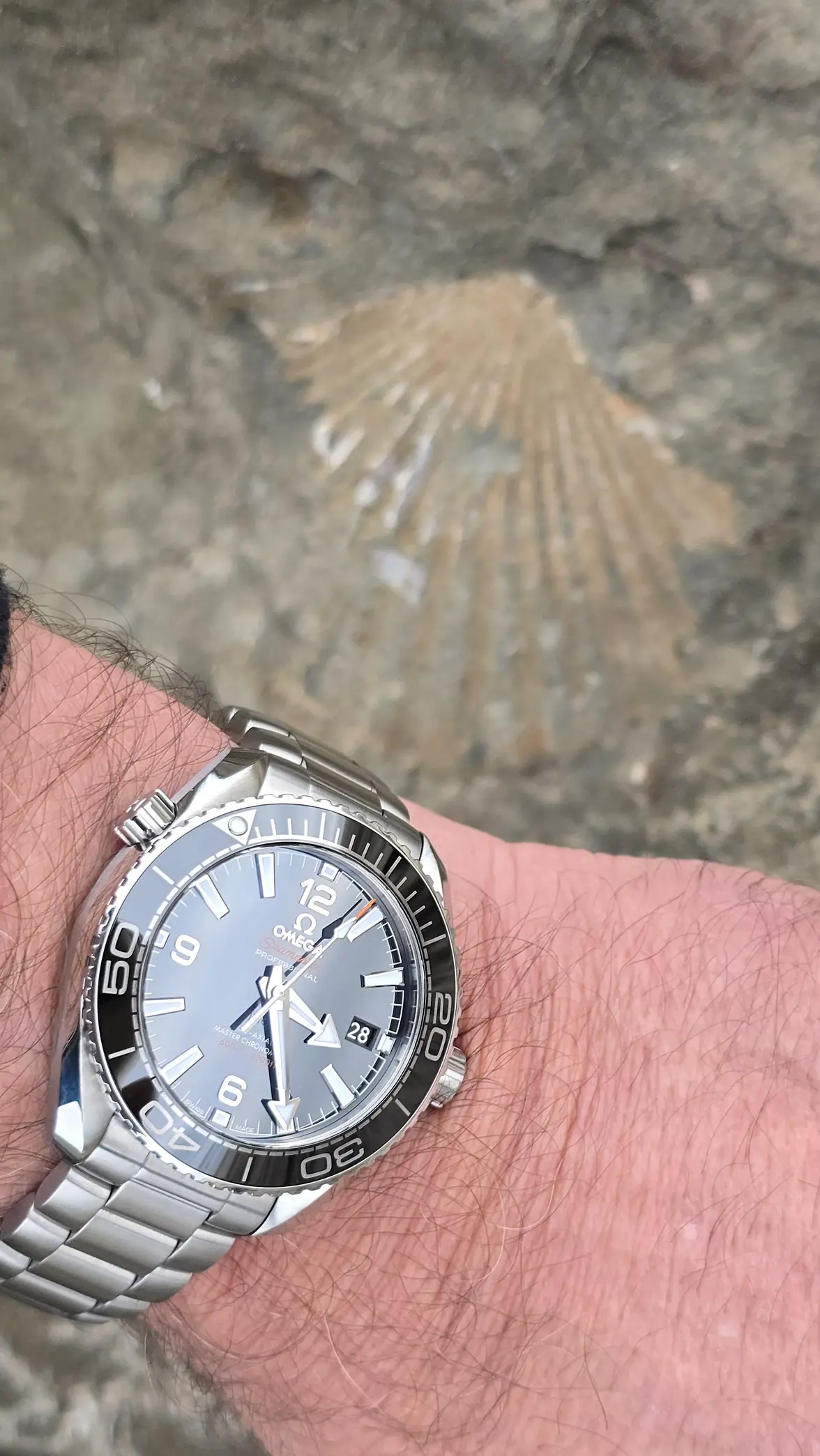 20251128_152600.webp 20251128_152600.webp