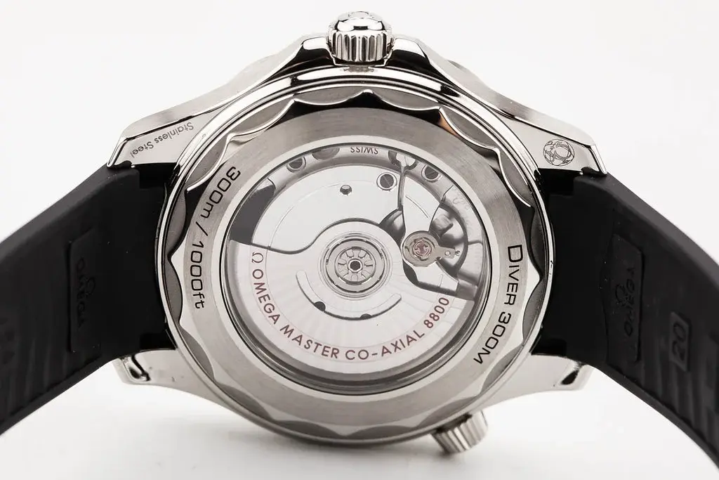 54972233584_17a21ae006_b.webp 54972233584_17a21ae006_b.webp