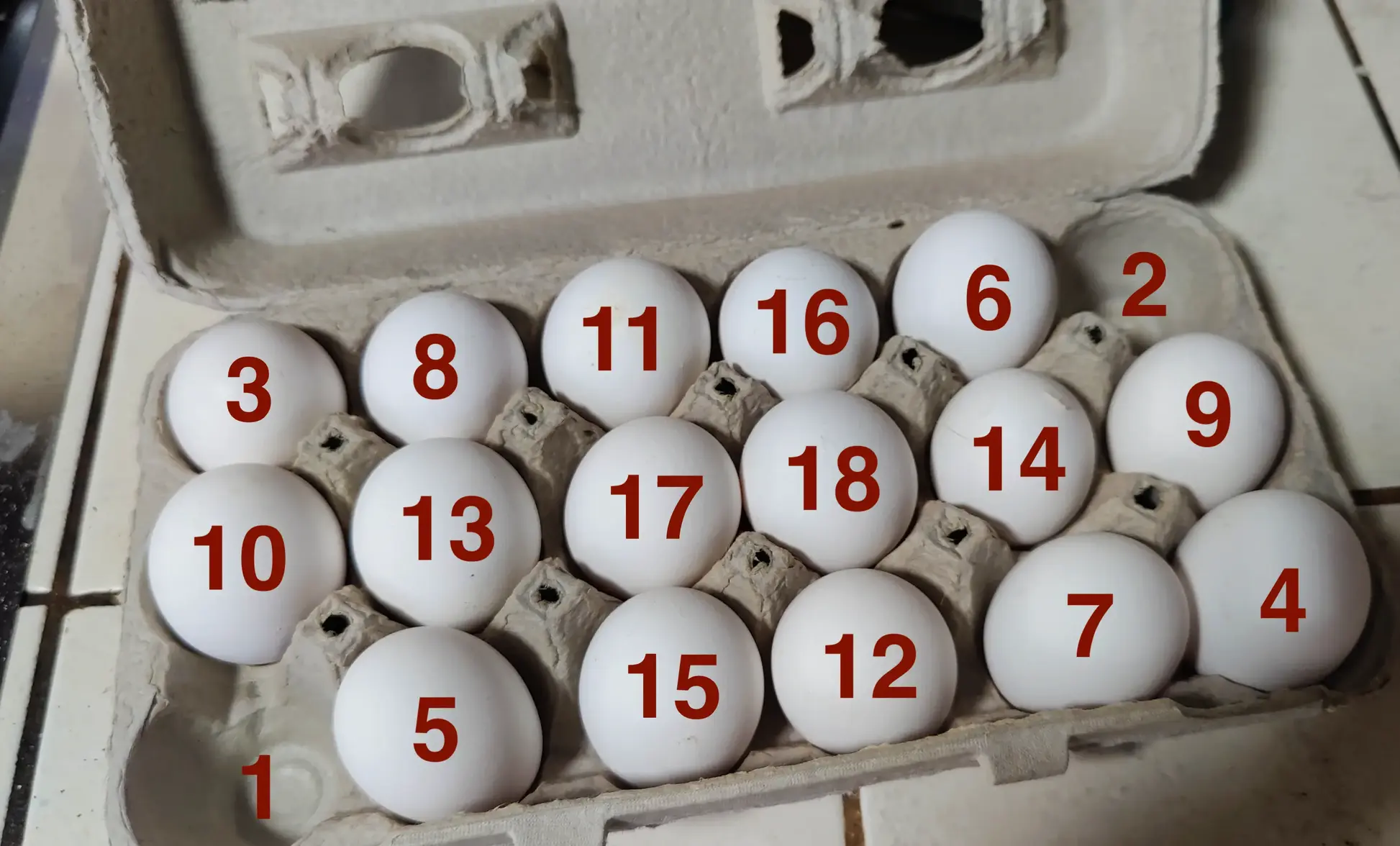 IMG_20251209_110447 copy.webp