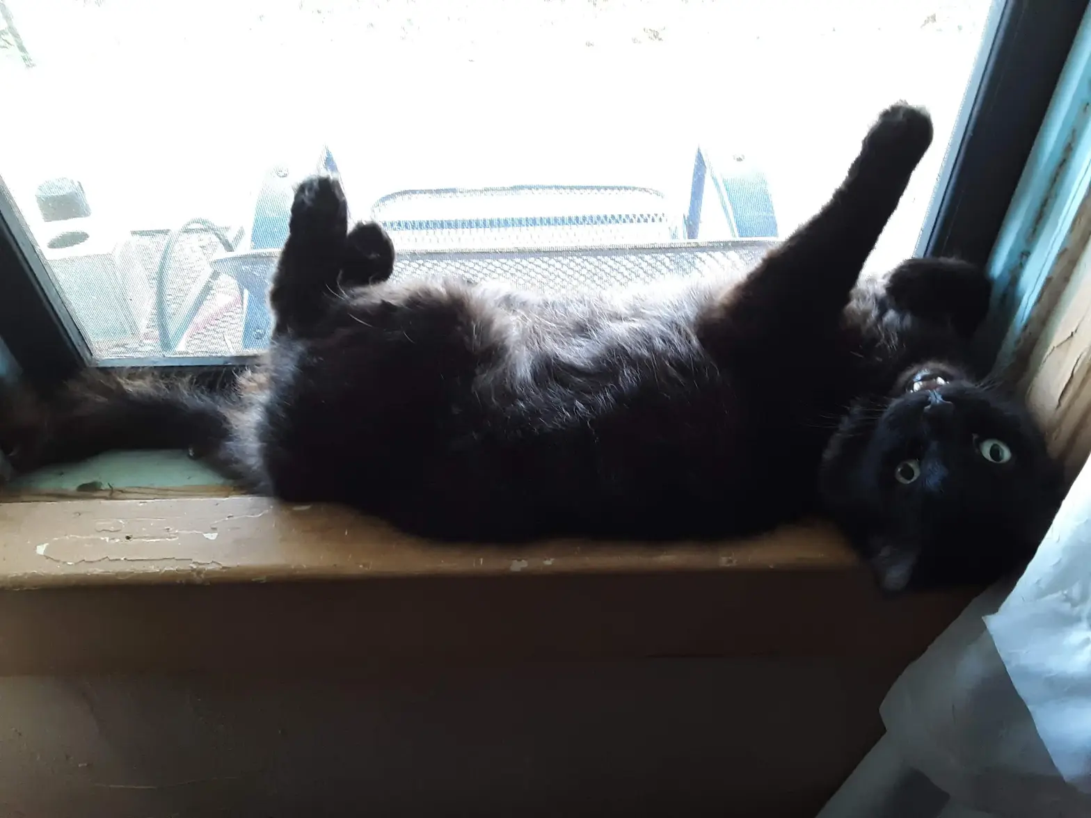 20181005_172555.webp 20181005_172555.webp