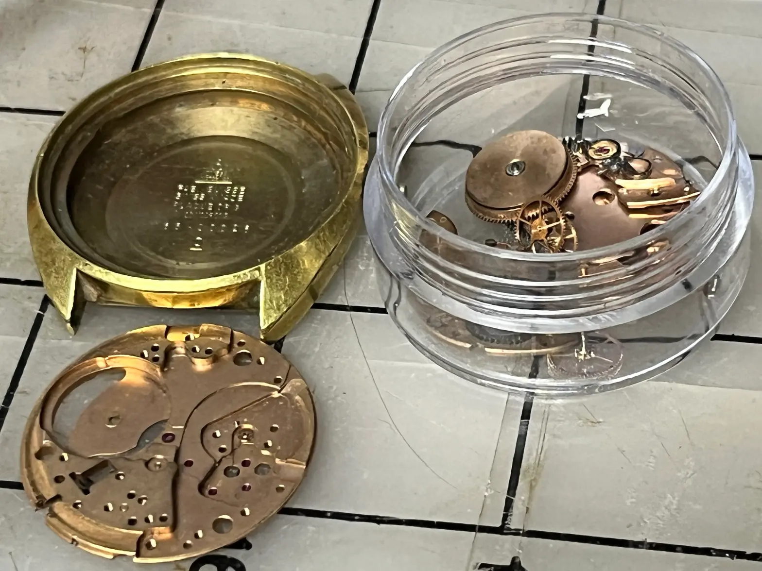 IMG_5004.webp IMG_5004.webp