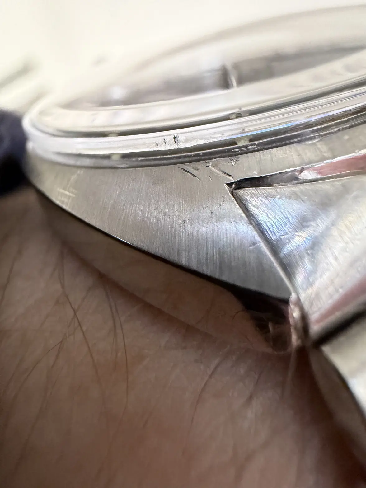 IMG_0858.webp IMG_0858.webp