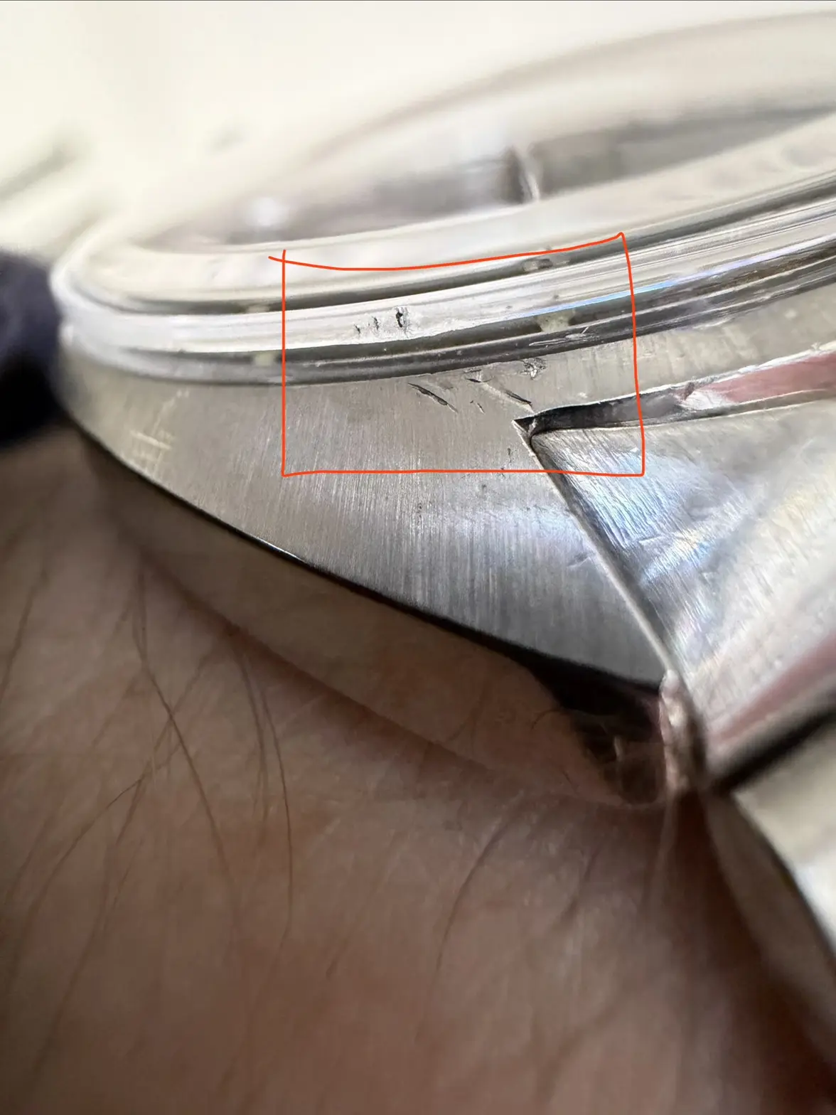 IMG_0858.webp IMG_0858.webp