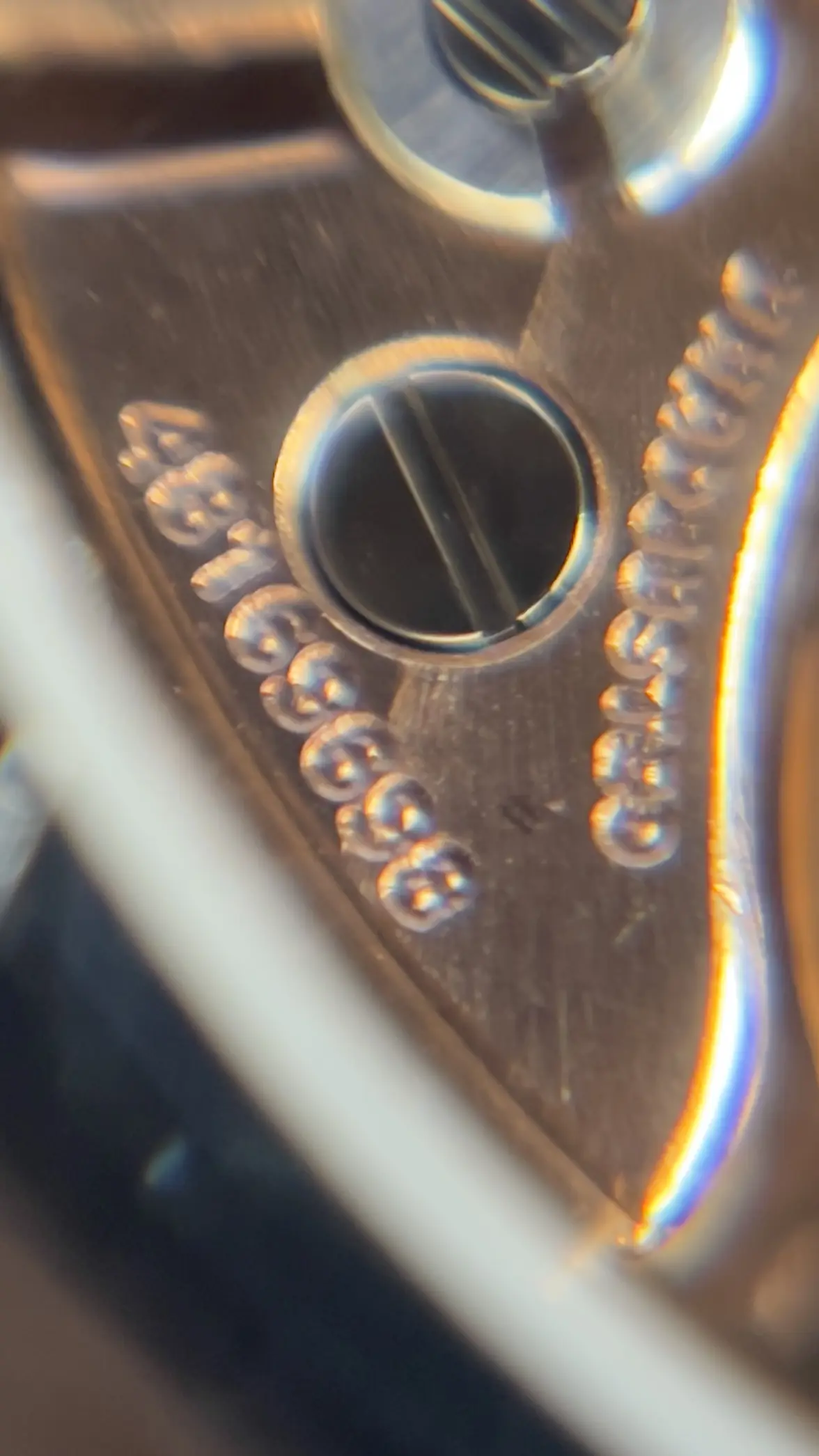 IMG_0040.webp IMG_0040.webp