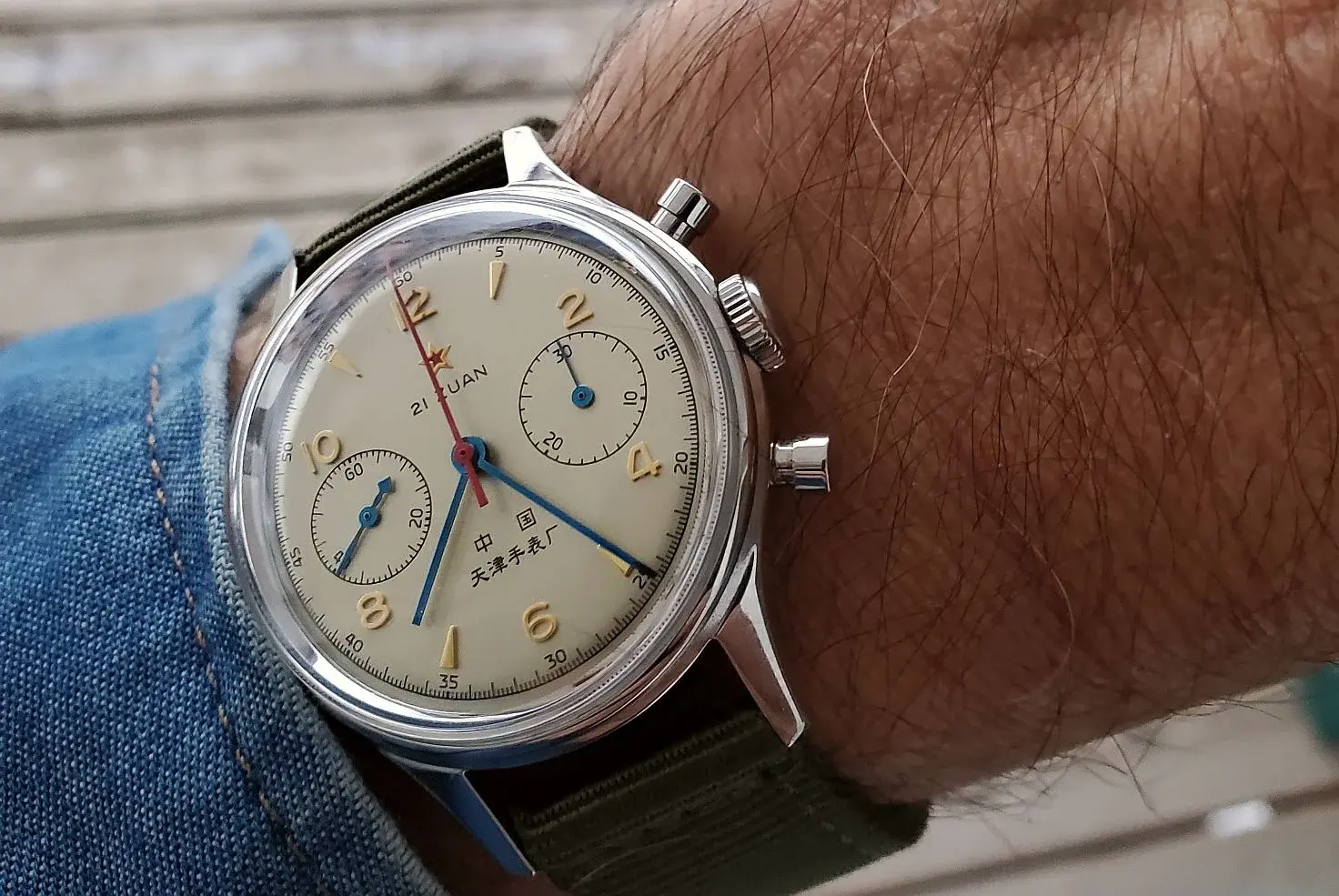 Seagull ws 1 20251213_072500.webp