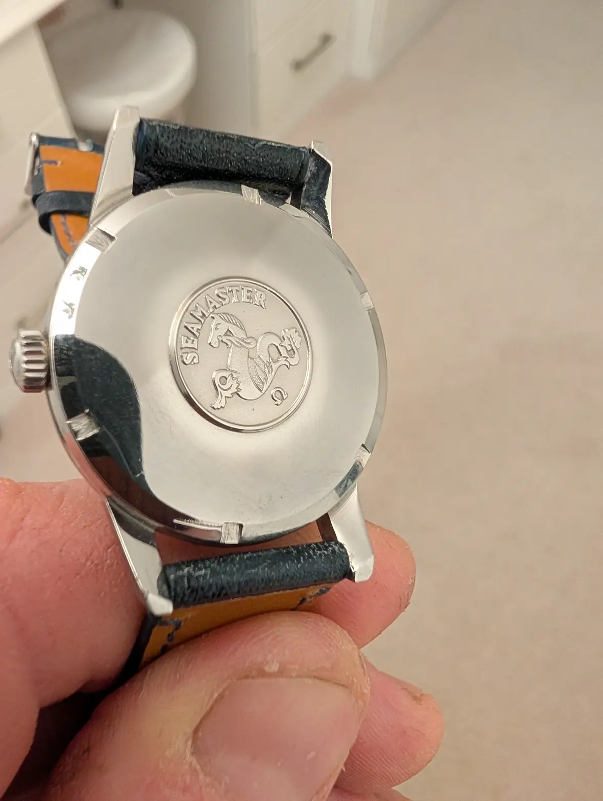 PXL_20251214_170100464.MP.webp PXL_20251214_170100464.MP.webp