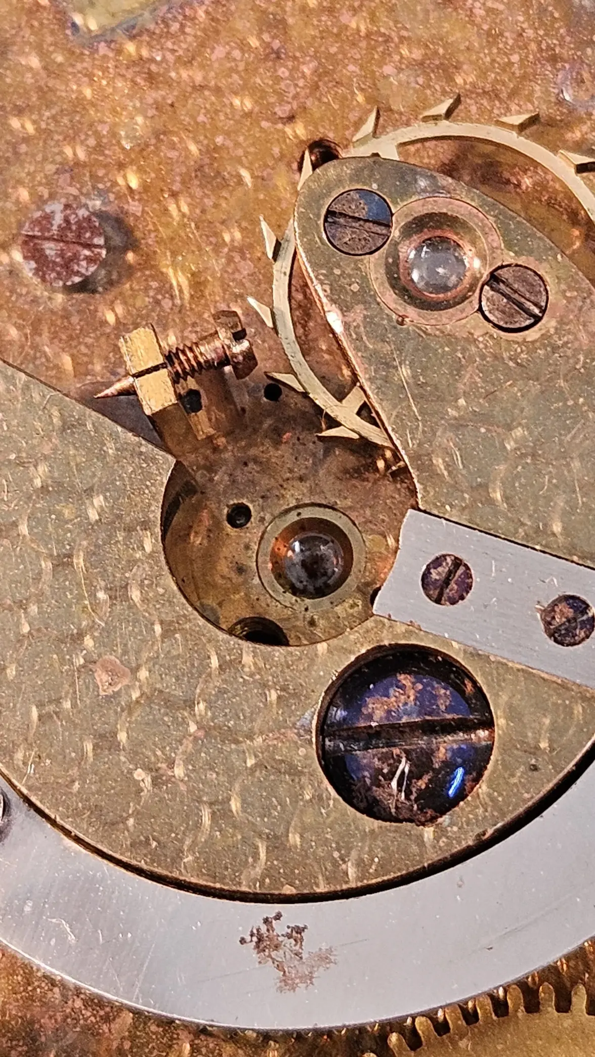 Attachment.webp Attachment.webp