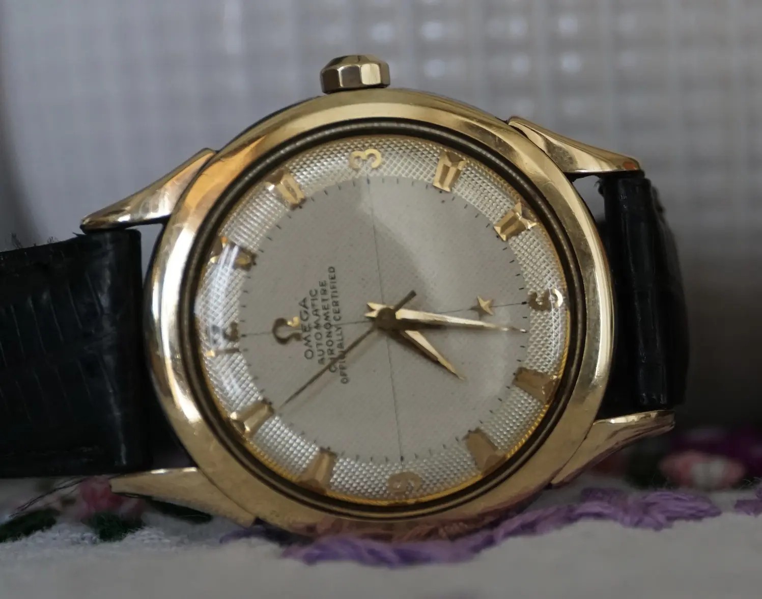 DSC01511 (1).webp DSC01511 (1).webp