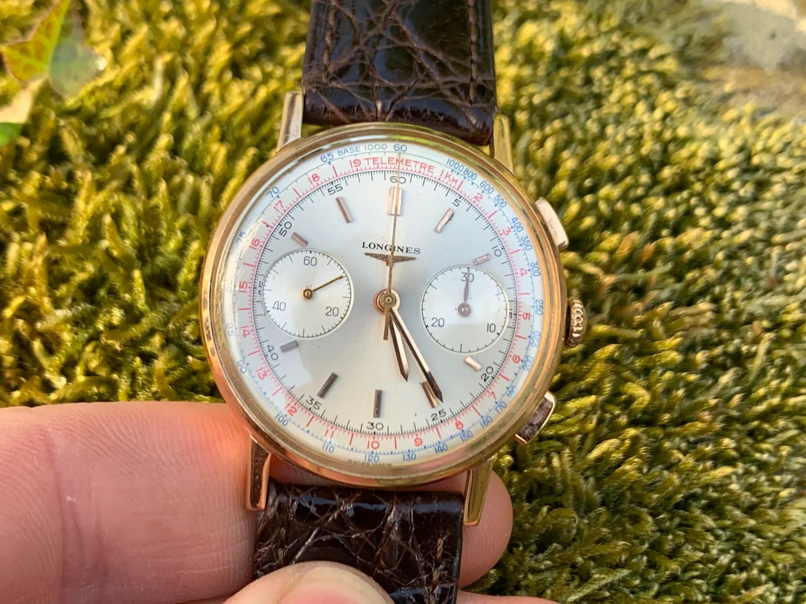 IMG_4865.webp IMG_4865.webp