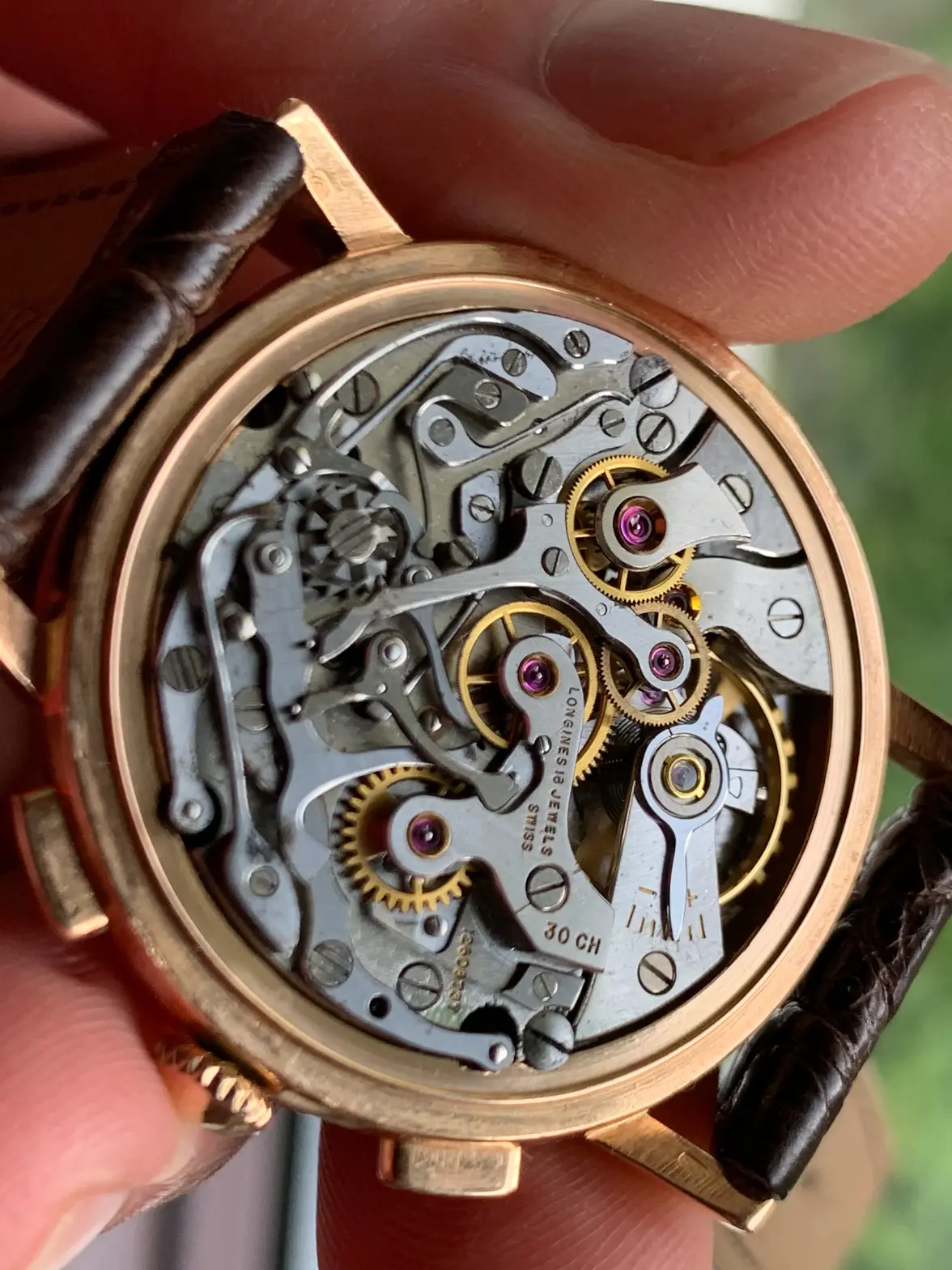 IMG_4887.webp IMG_4887.webp