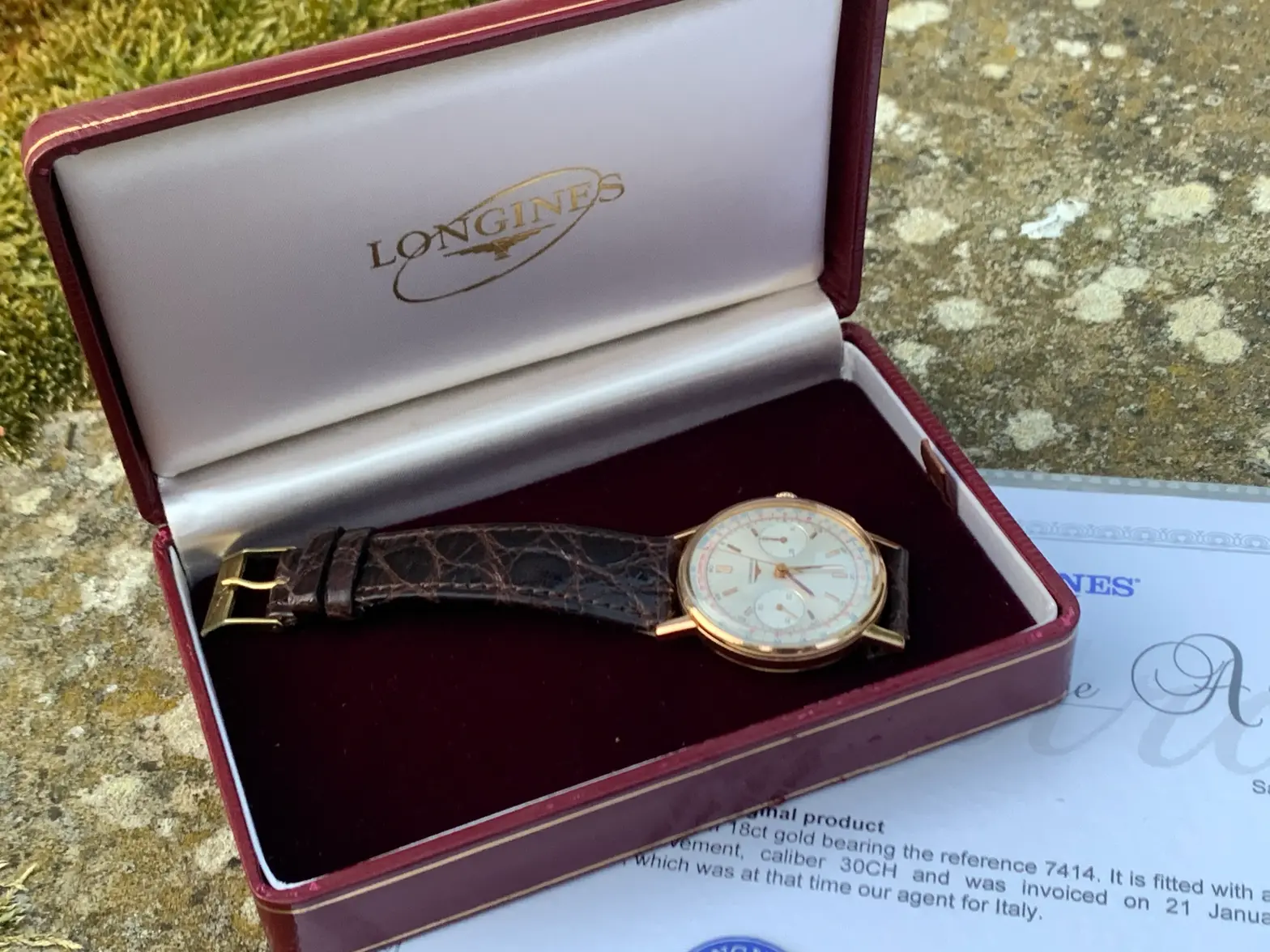 IMG_4903.webp IMG_4903.webp