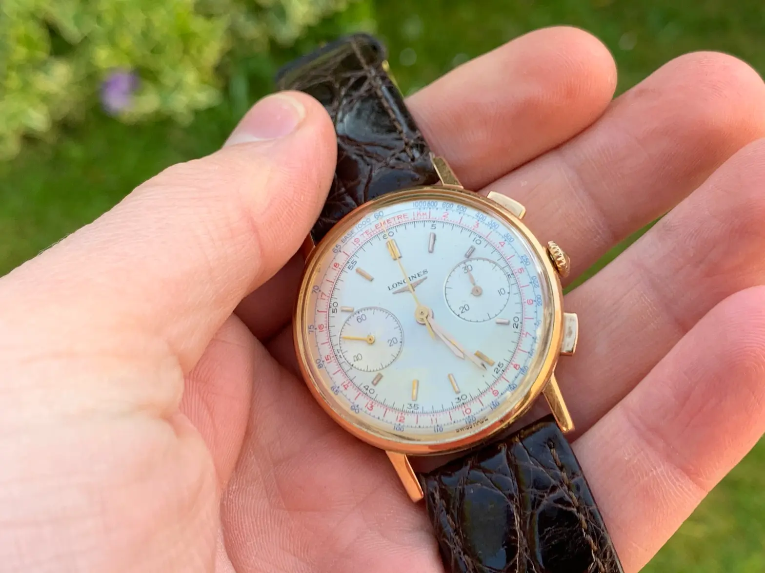 IMG_4870.webp IMG_4870.webp