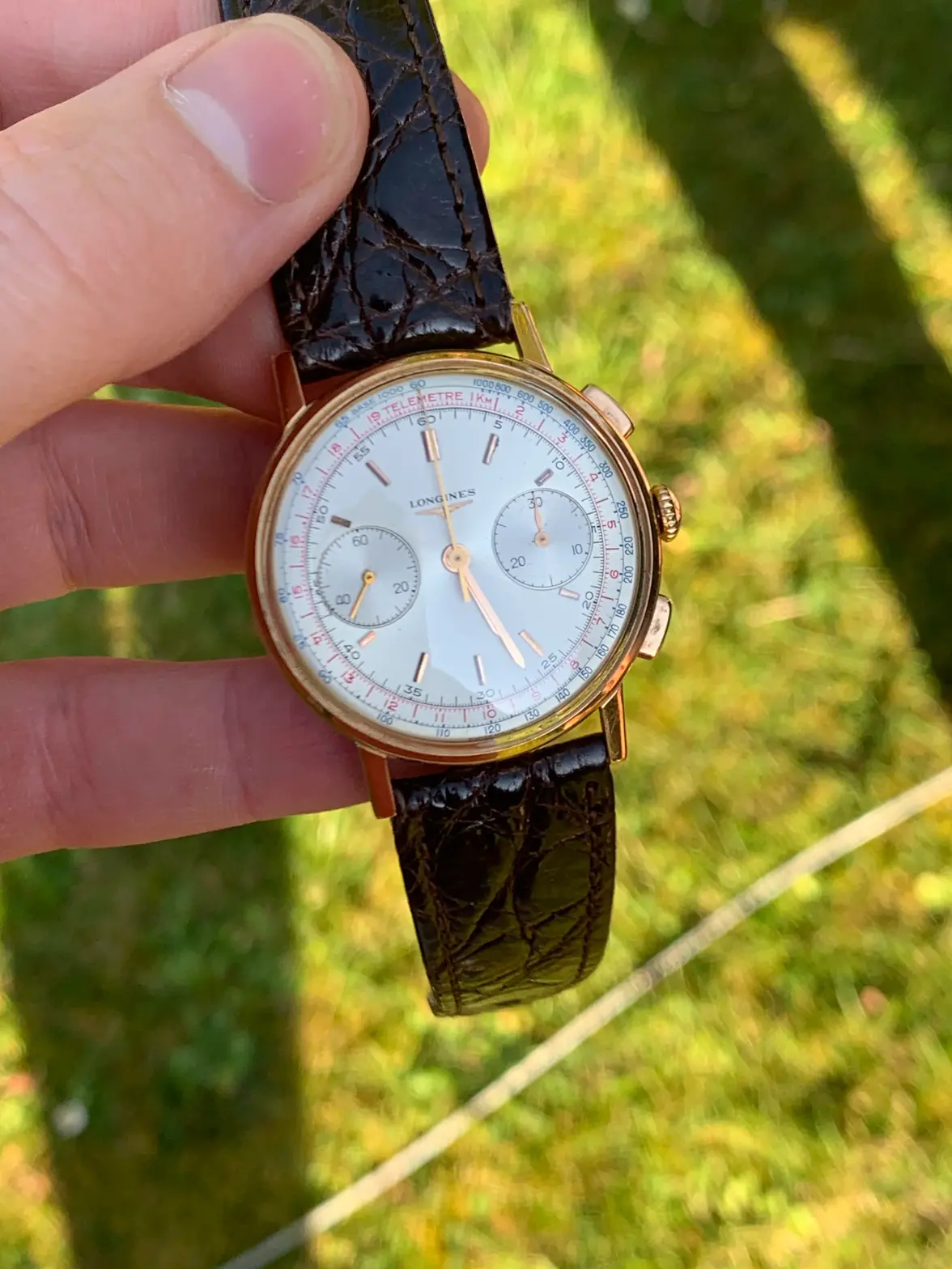 IMG_4874.webp IMG_4874.webp