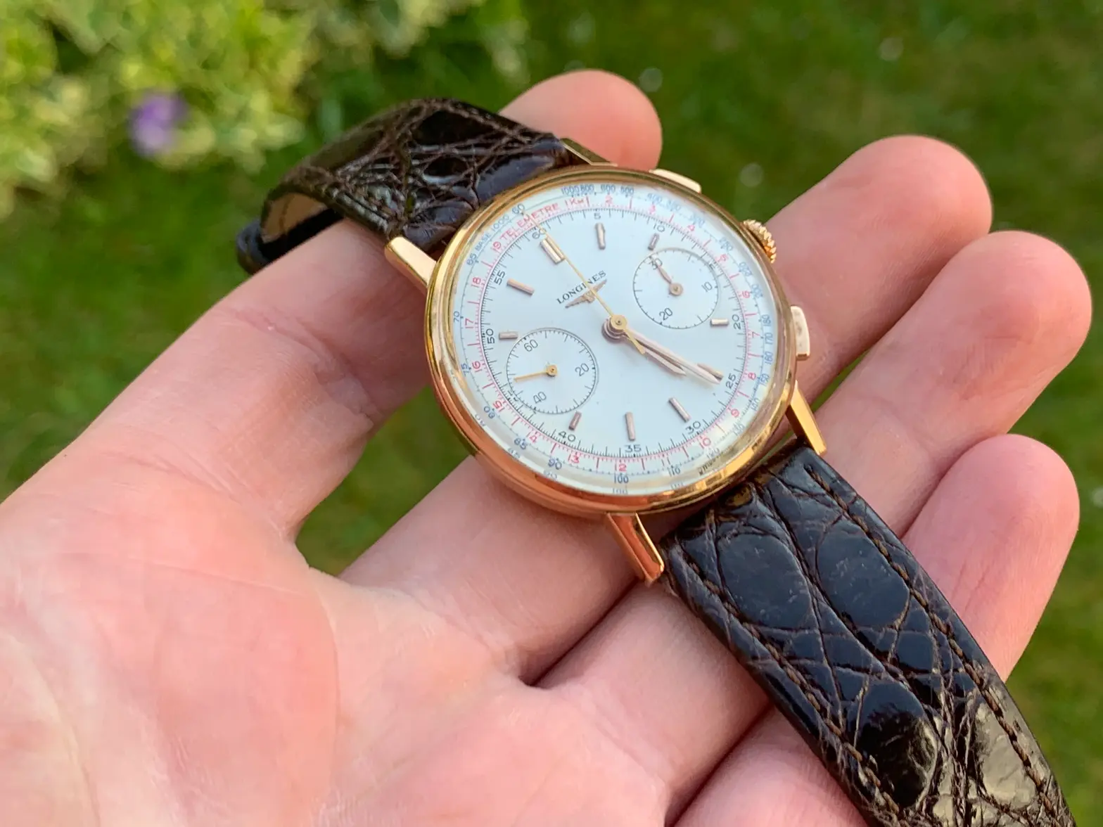 IMG_4869.webp IMG_4869.webp