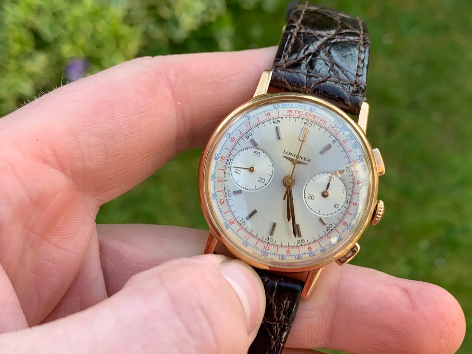 IMG_4868.webp IMG_4868.webp