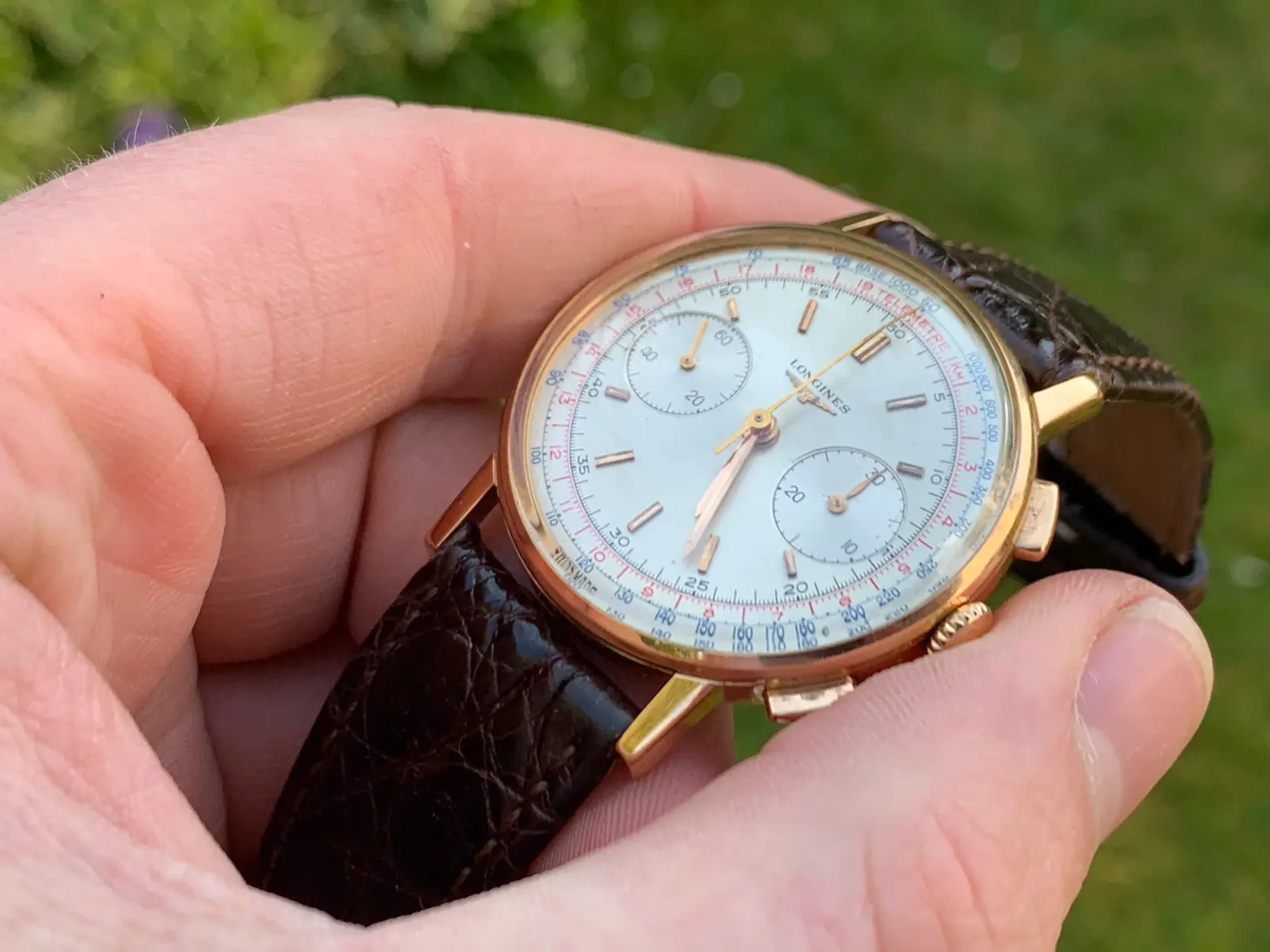 IMG_4871.webp IMG_4871.webp