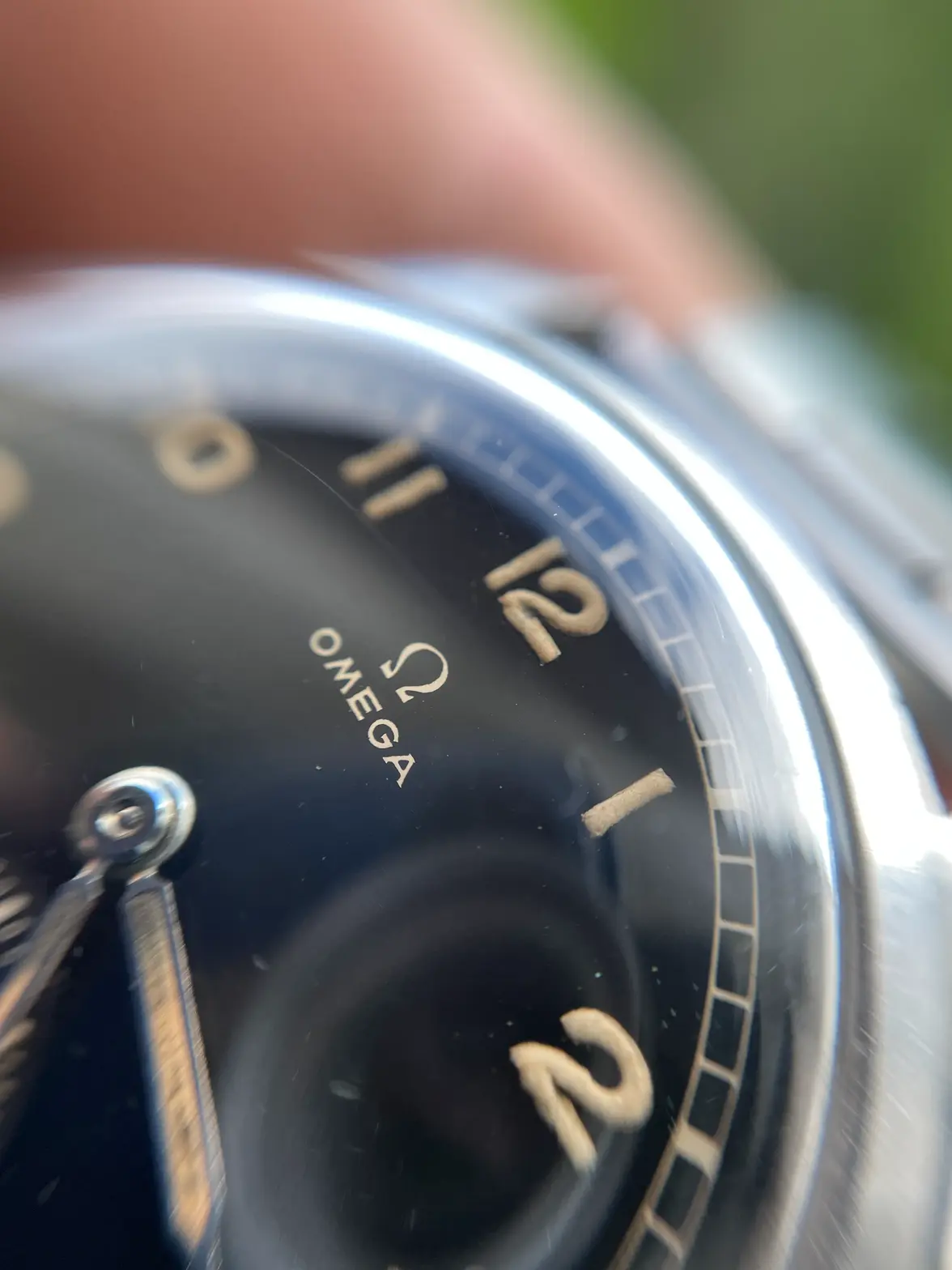 IMG_5156.webp IMG_5156.webp