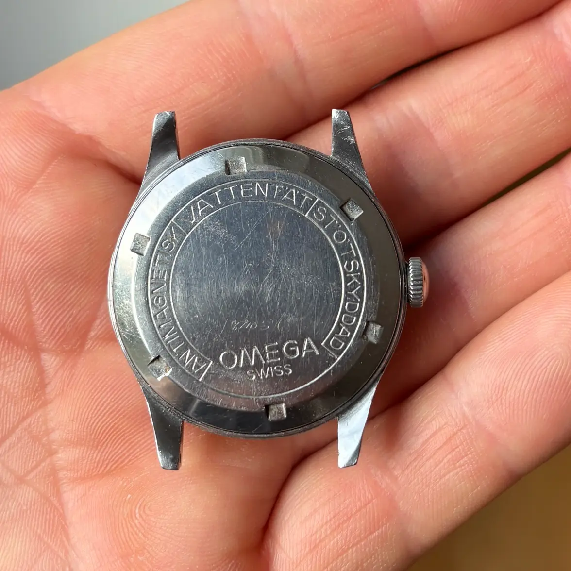 IMG_8258.webp IMG_8258.webp