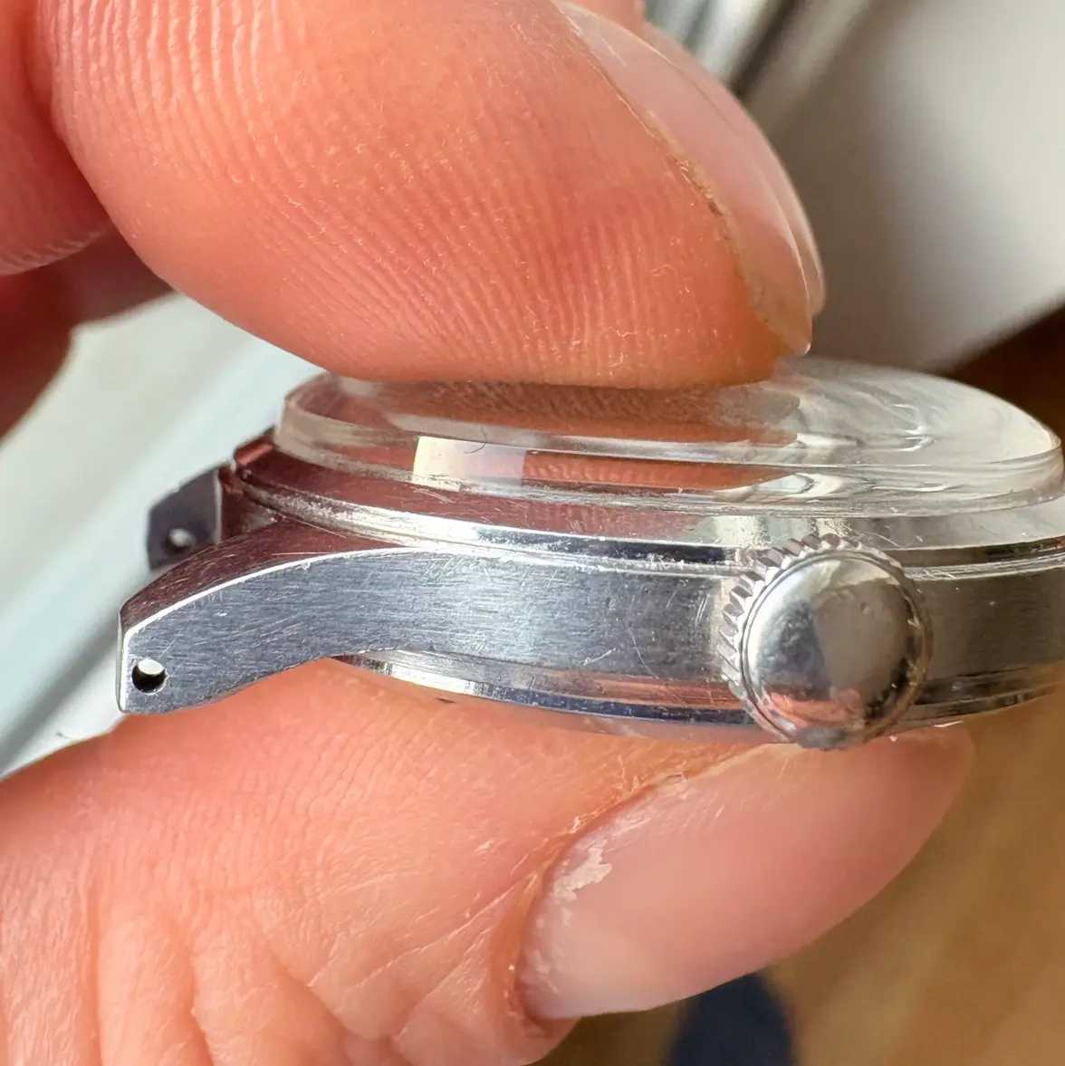 IMG_8264.webp IMG_8264.webp