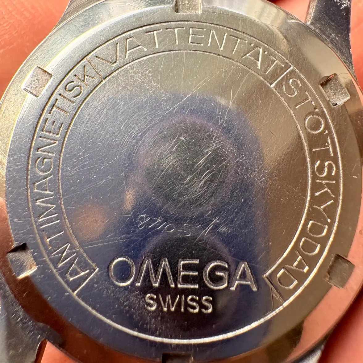 IMG_8269.webp IMG_8269.webp