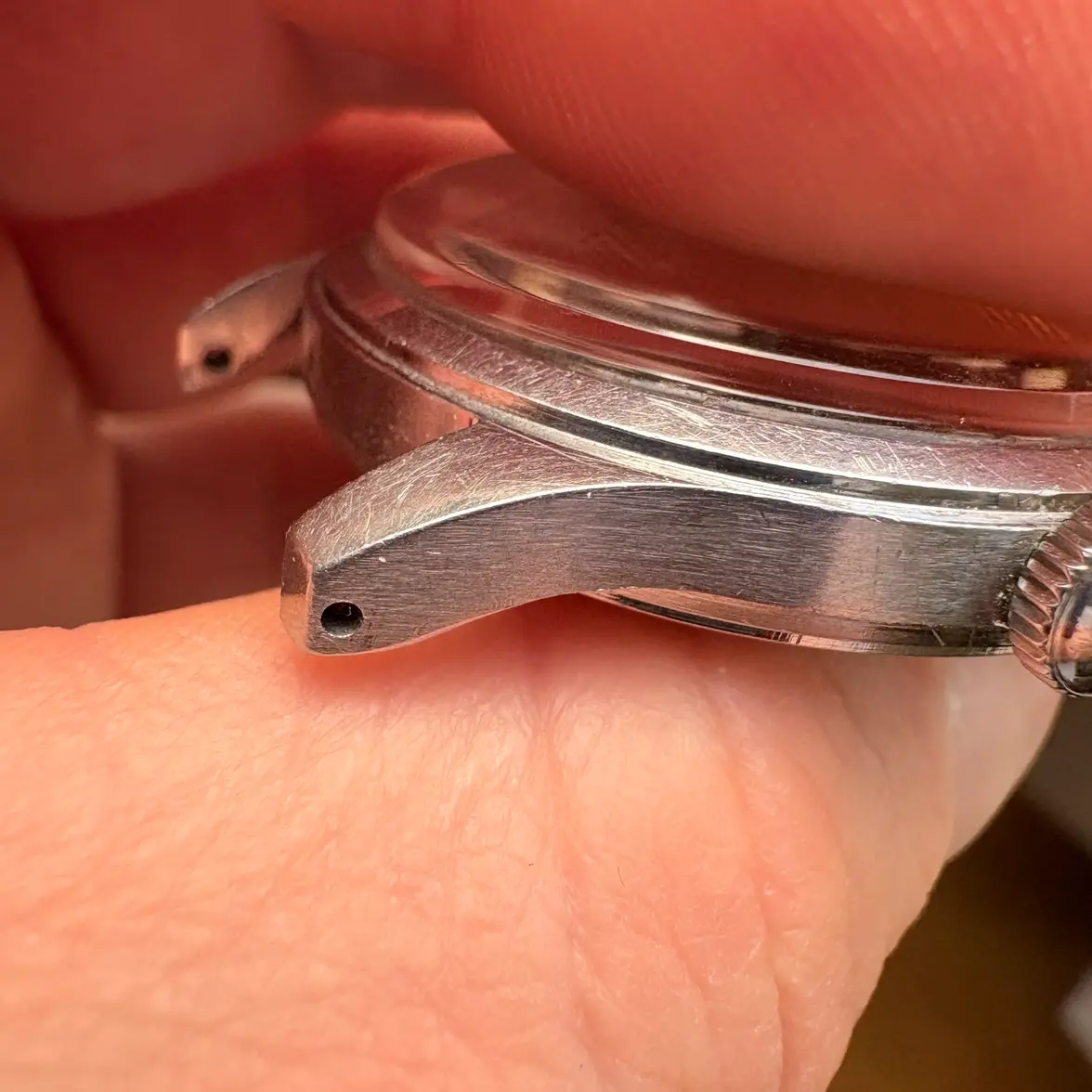 IMG_8271.webp IMG_8271.webp