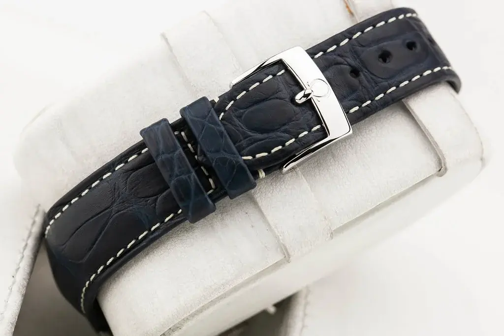 54990308766_246901dace_b.webp 54990308766_246901dace_b.webp