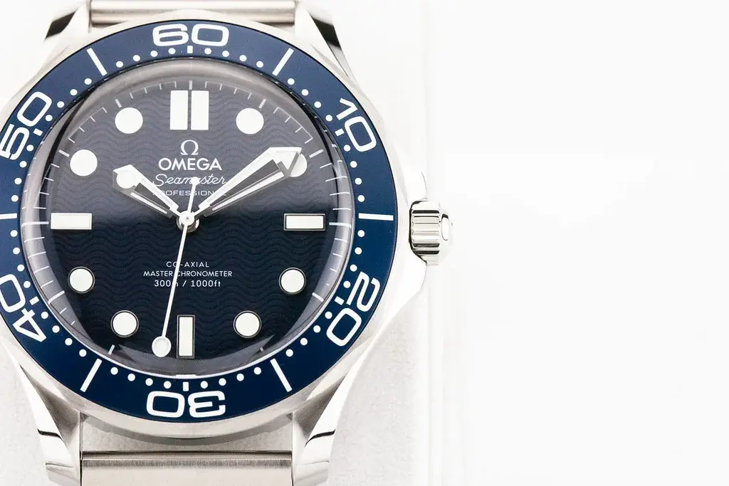 53881117995_c669a8ec93_b.webp 53881117995_c669a8ec93_b.webp