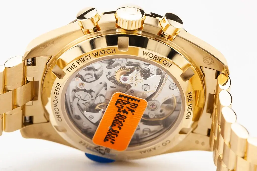 54992350711_da1719837a_b.webp 54992350711_da1719837a_b.webp