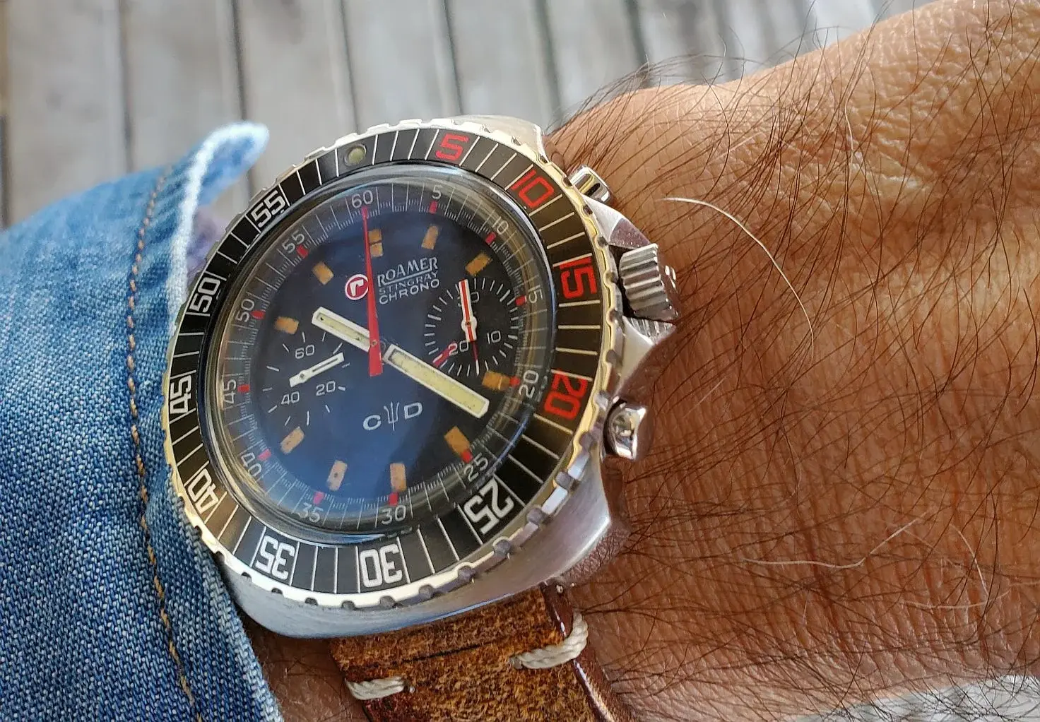 Roamer ws 1 20251219_102254.webp