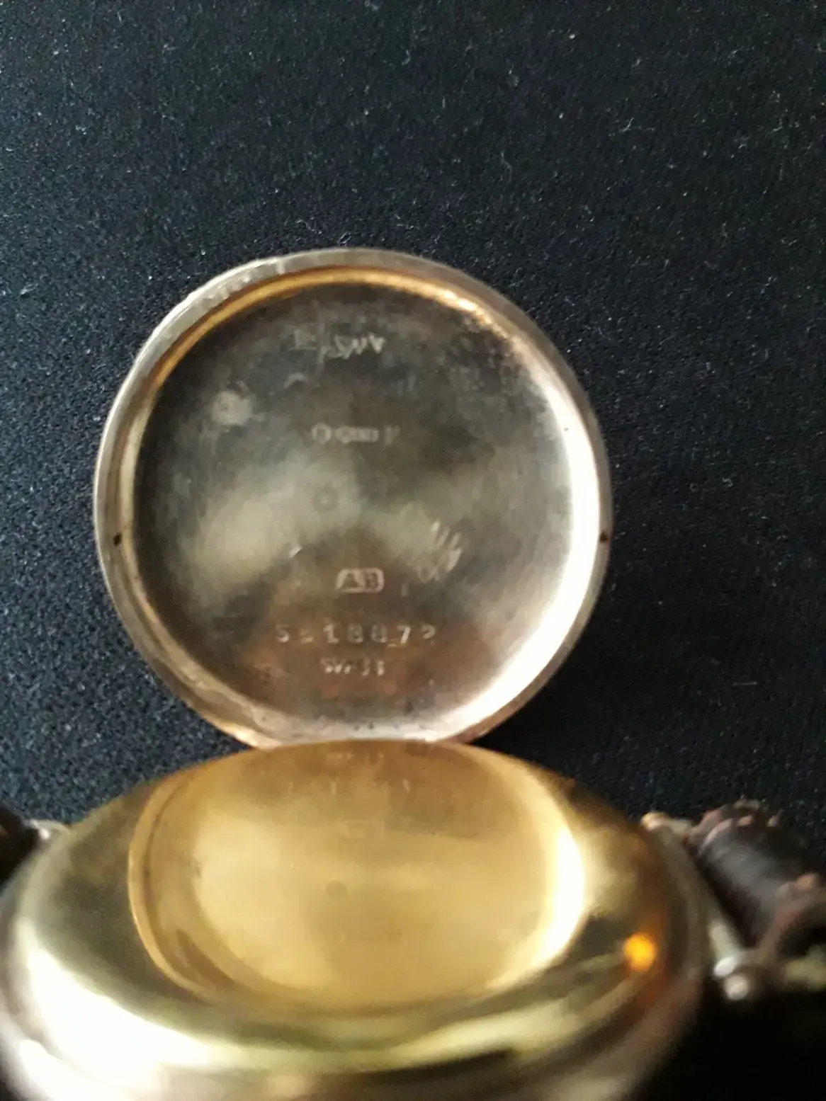 inside outer back.webp