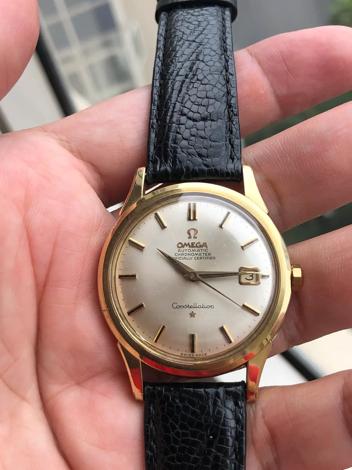 IMG_0895.webp IMG_0895.webp