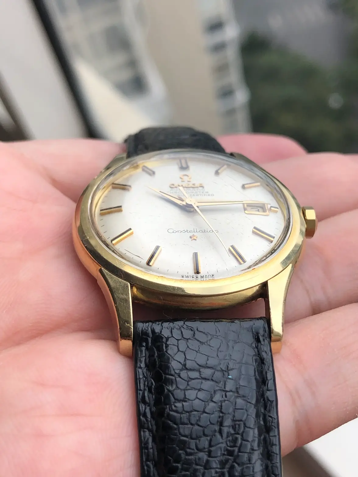 IMG_0896.webp IMG_0896.webp