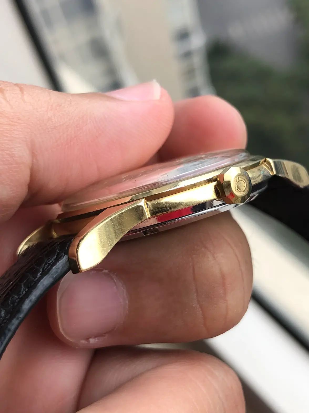 IMG_0897.webp IMG_0897.webp