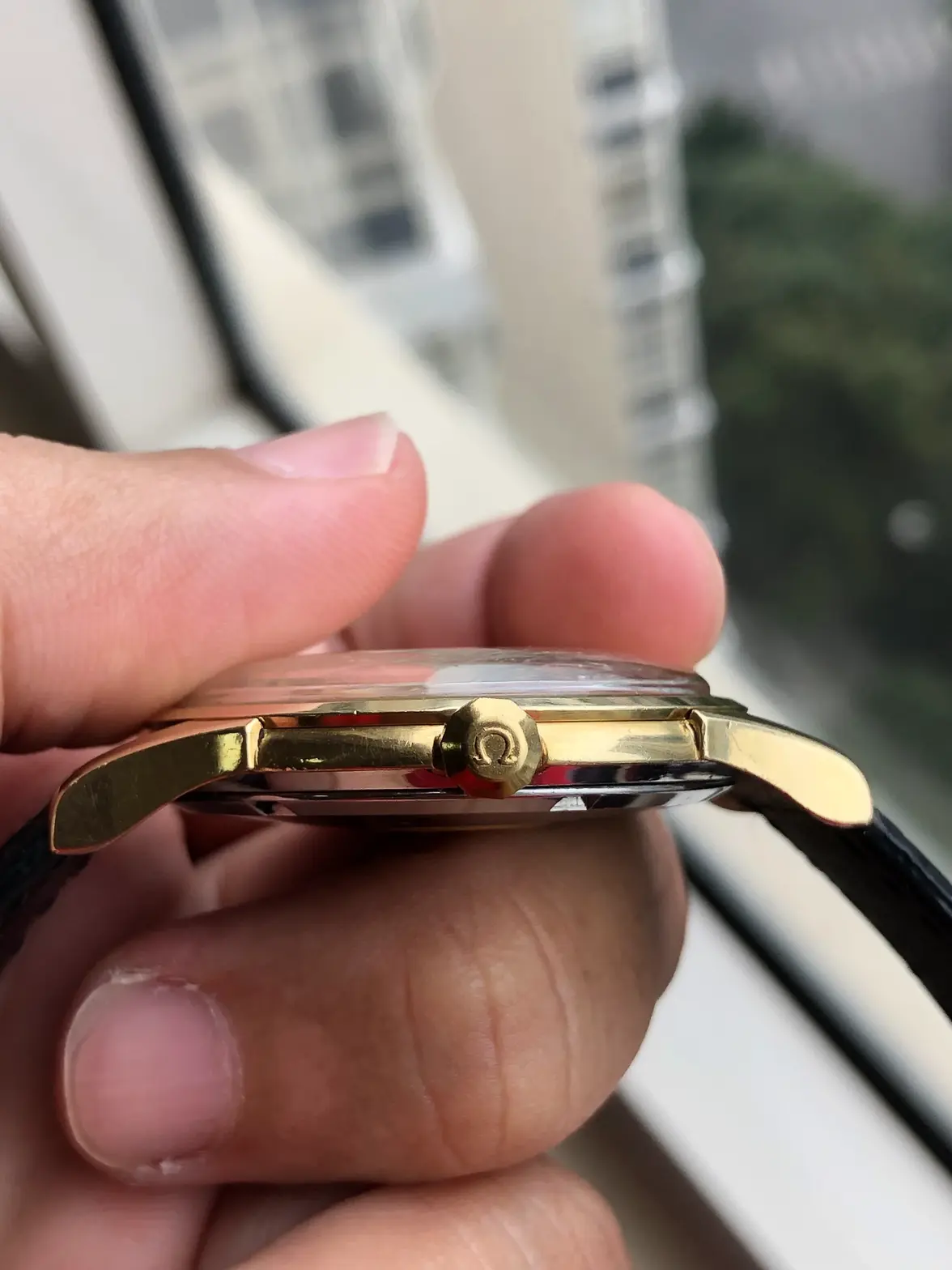 IMG_0898.webp IMG_0898.webp