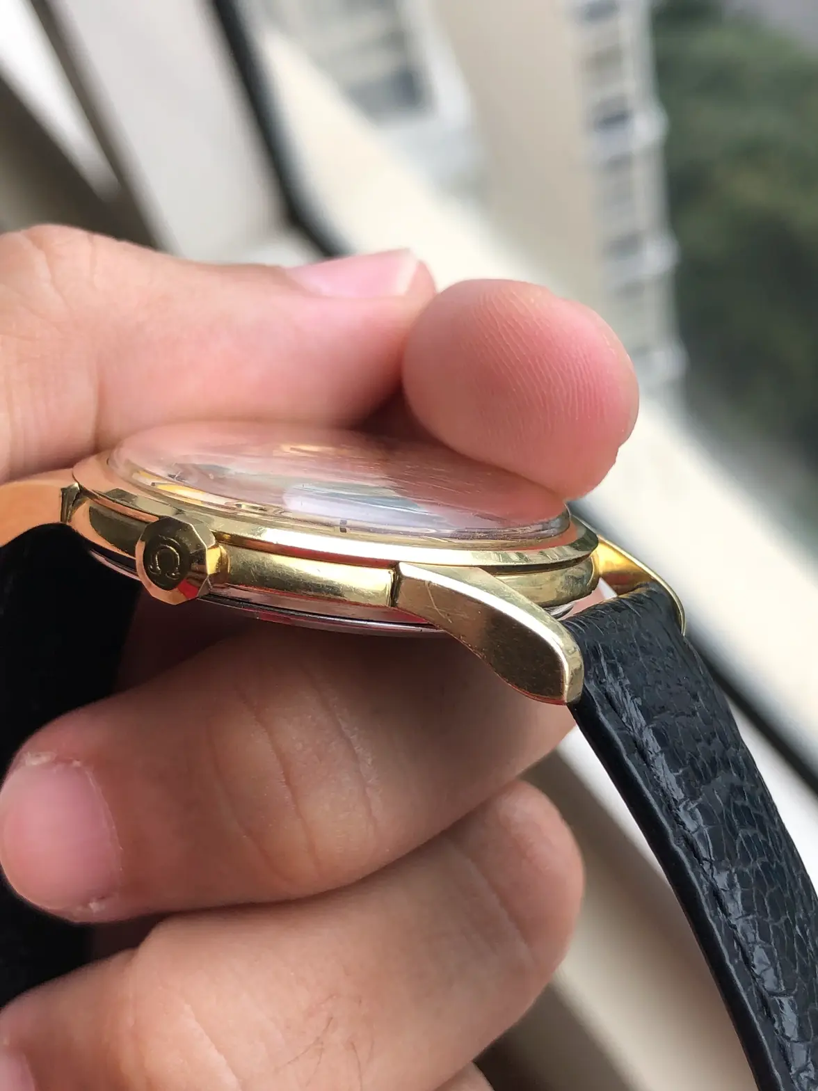 IMG_0899.webp IMG_0899.webp