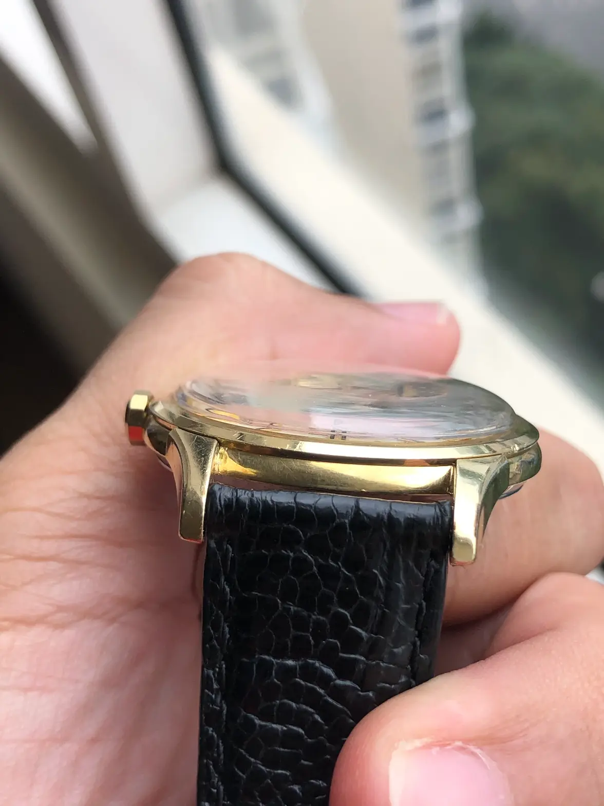 IMG_0900.webp IMG_0900.webp