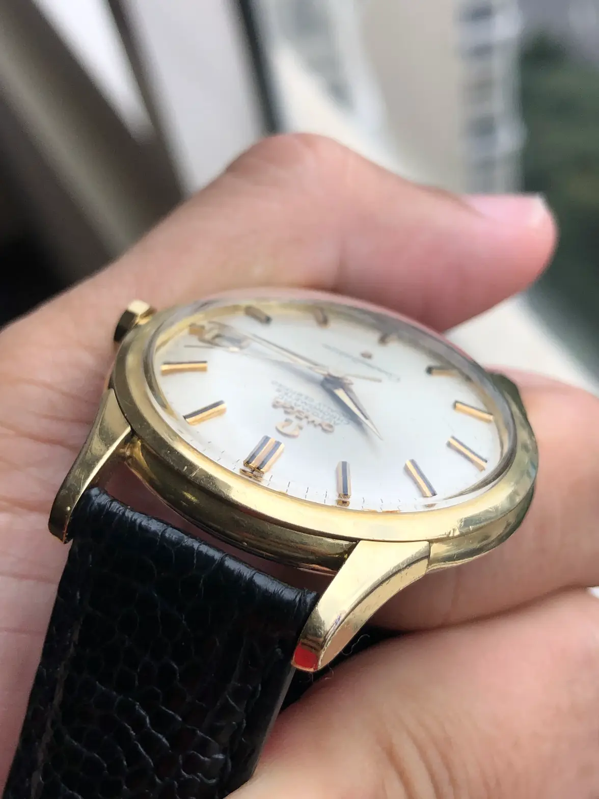 IMG_0901.webp IMG_0901.webp