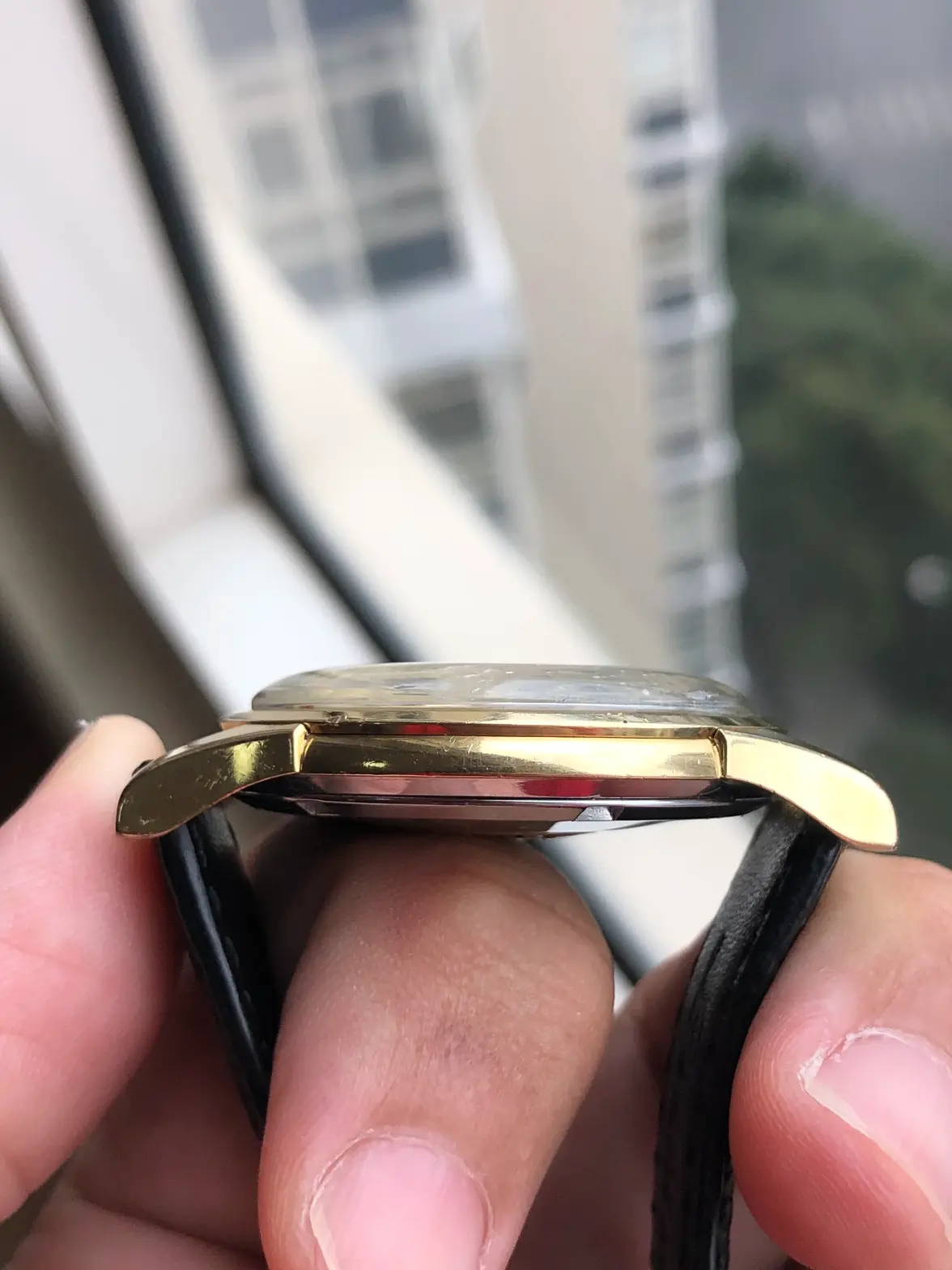 IMG_0902.webp IMG_0902.webp