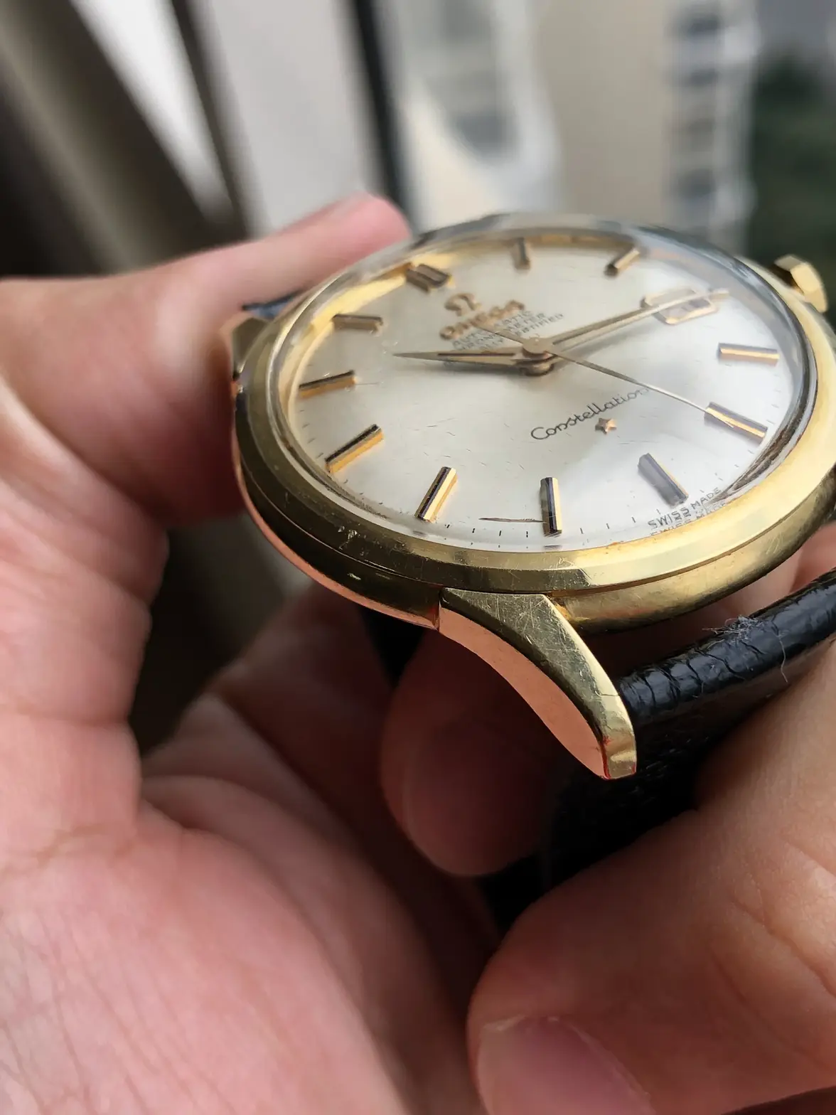 IMG_0903.webp IMG_0903.webp