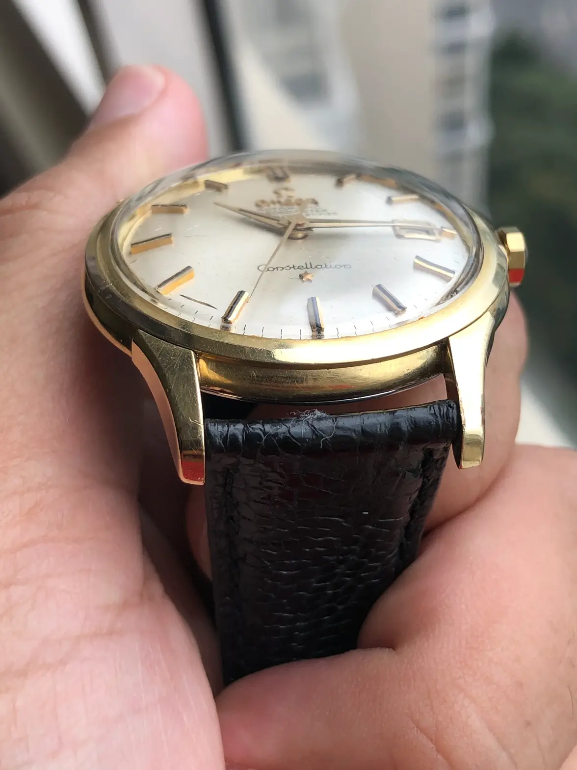 IMG_0904.webp IMG_0904.webp