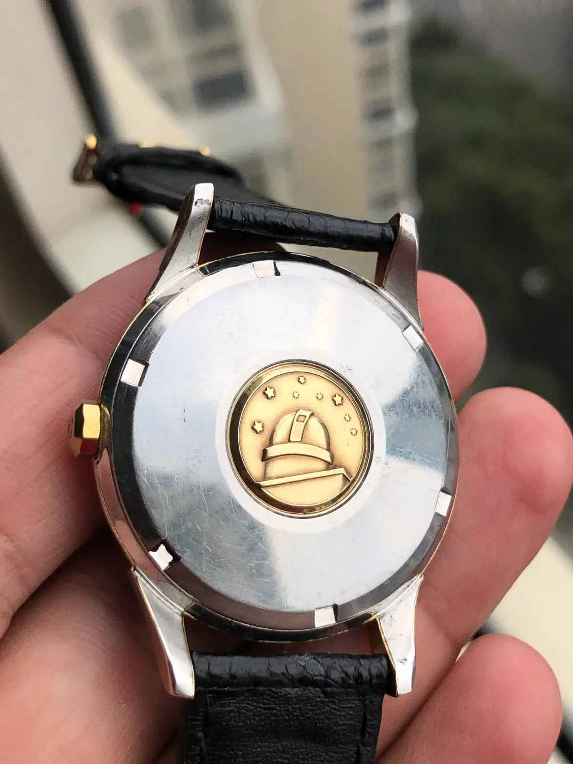 IMG_0905.webp IMG_0905.webp