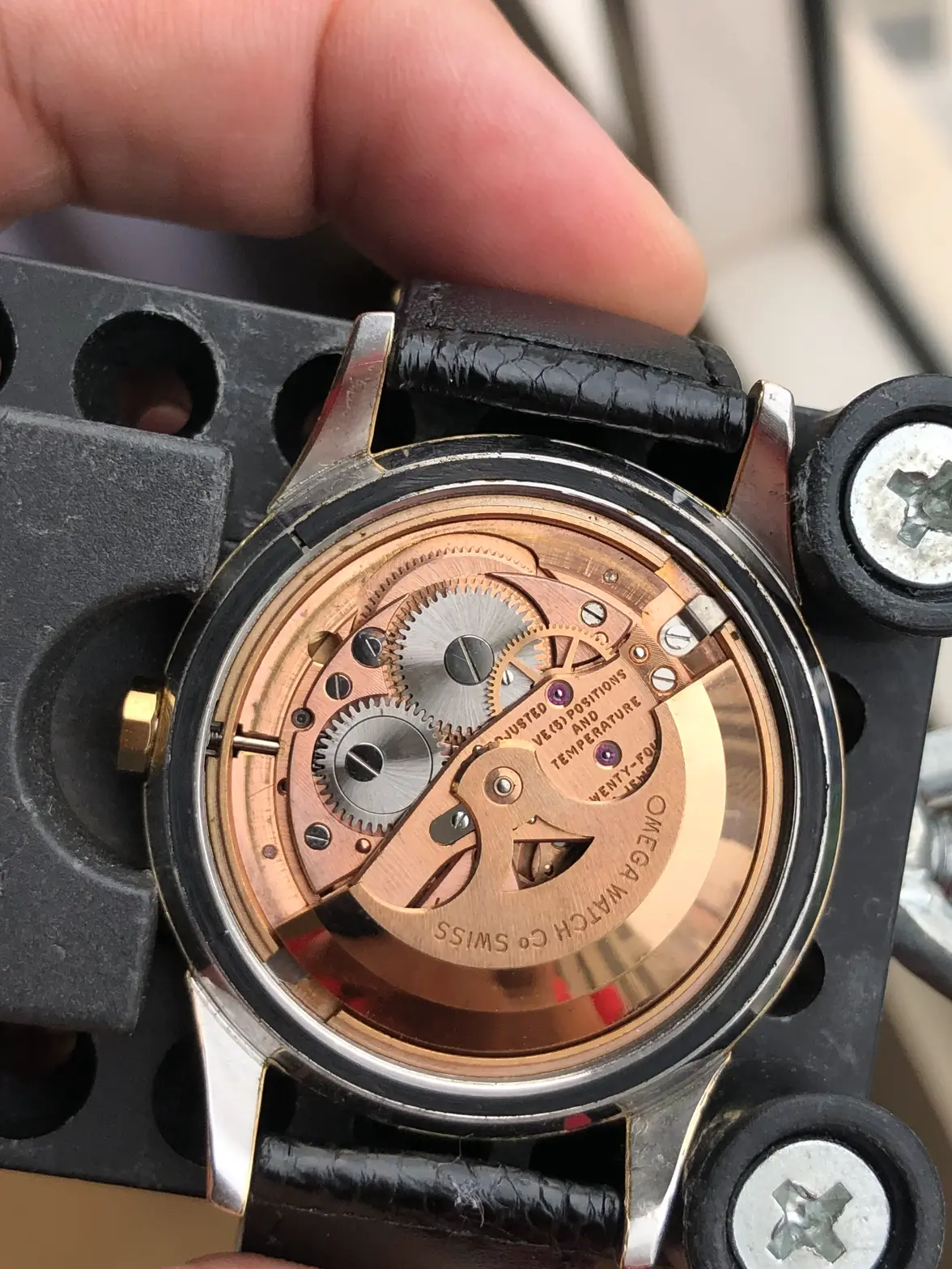 IMG_0906.webp IMG_0906.webp