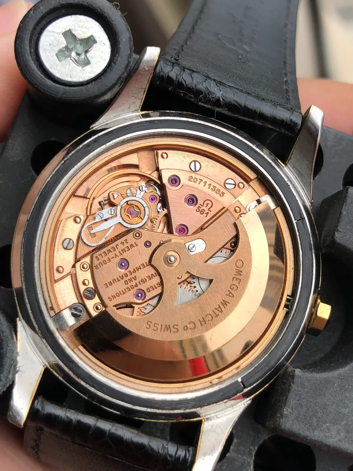 IMG_0907.webp IMG_0907.webp