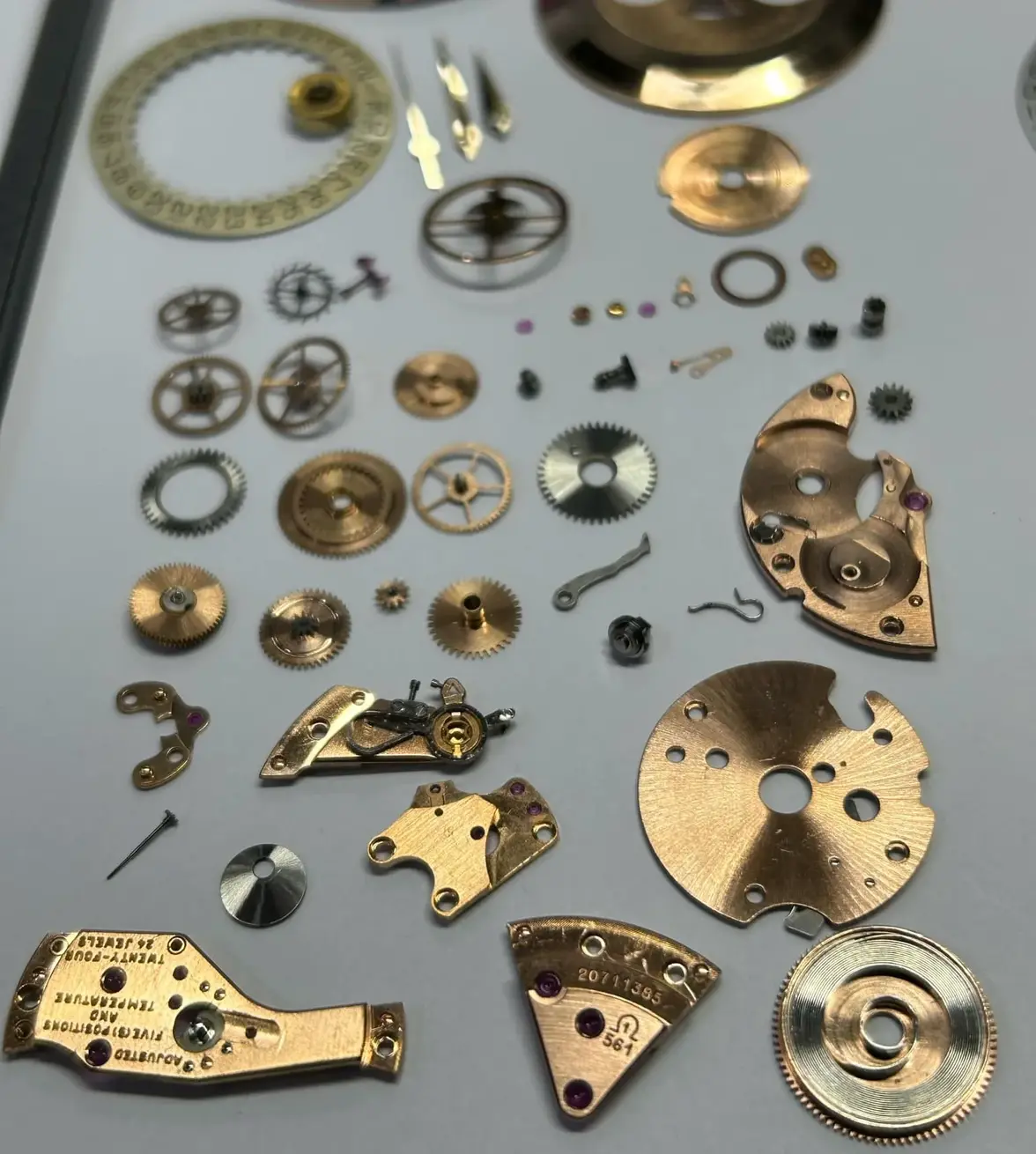 G2ZVZ-pkm5av6dlg74hvisfp5nfi2l.webp G2ZVZ-pkm5av6dlg74hvisfp5nfi2l.webp