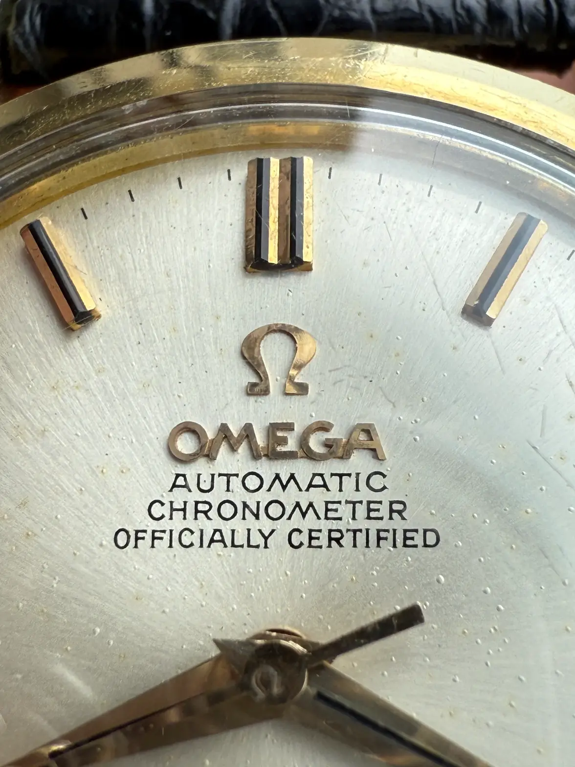 IMG_6003.webp IMG_6003.webp