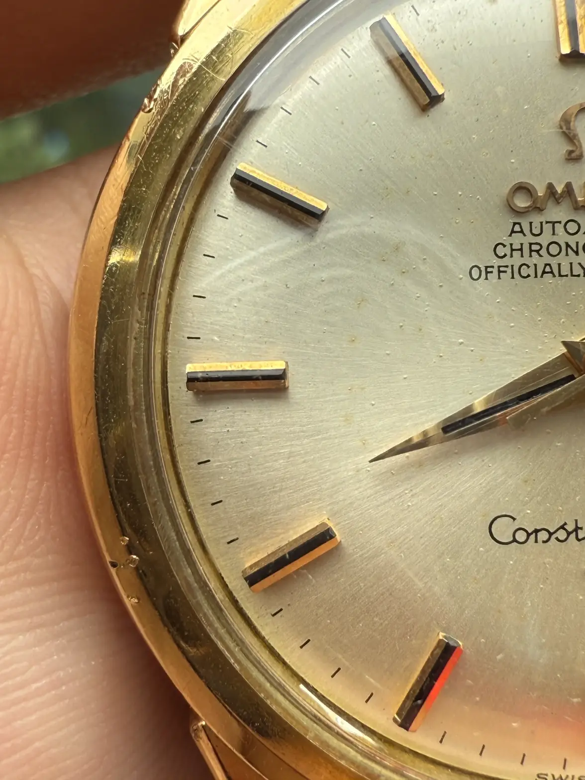 IMG_6005.webp IMG_6005.webp